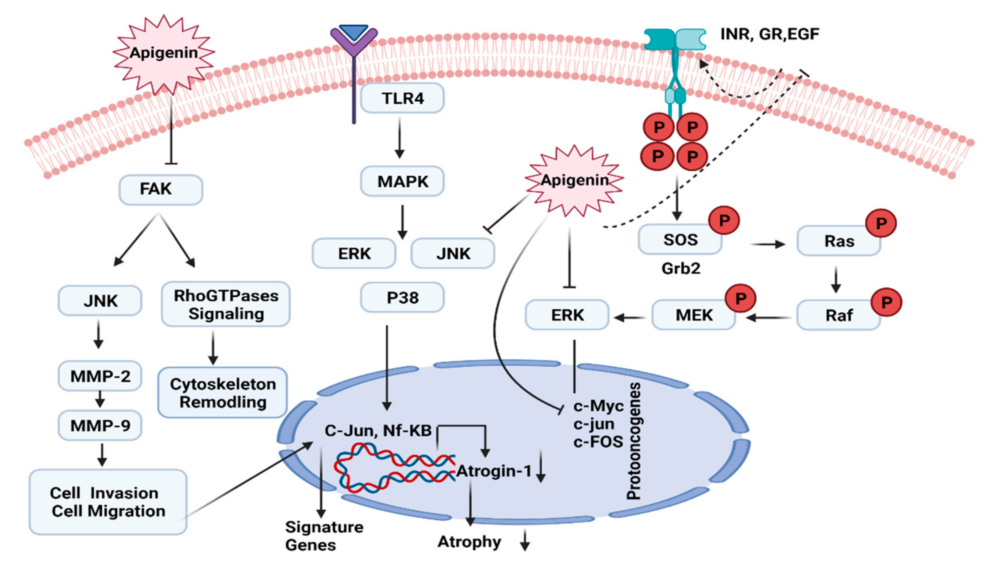 Molecules 27 04304 g005