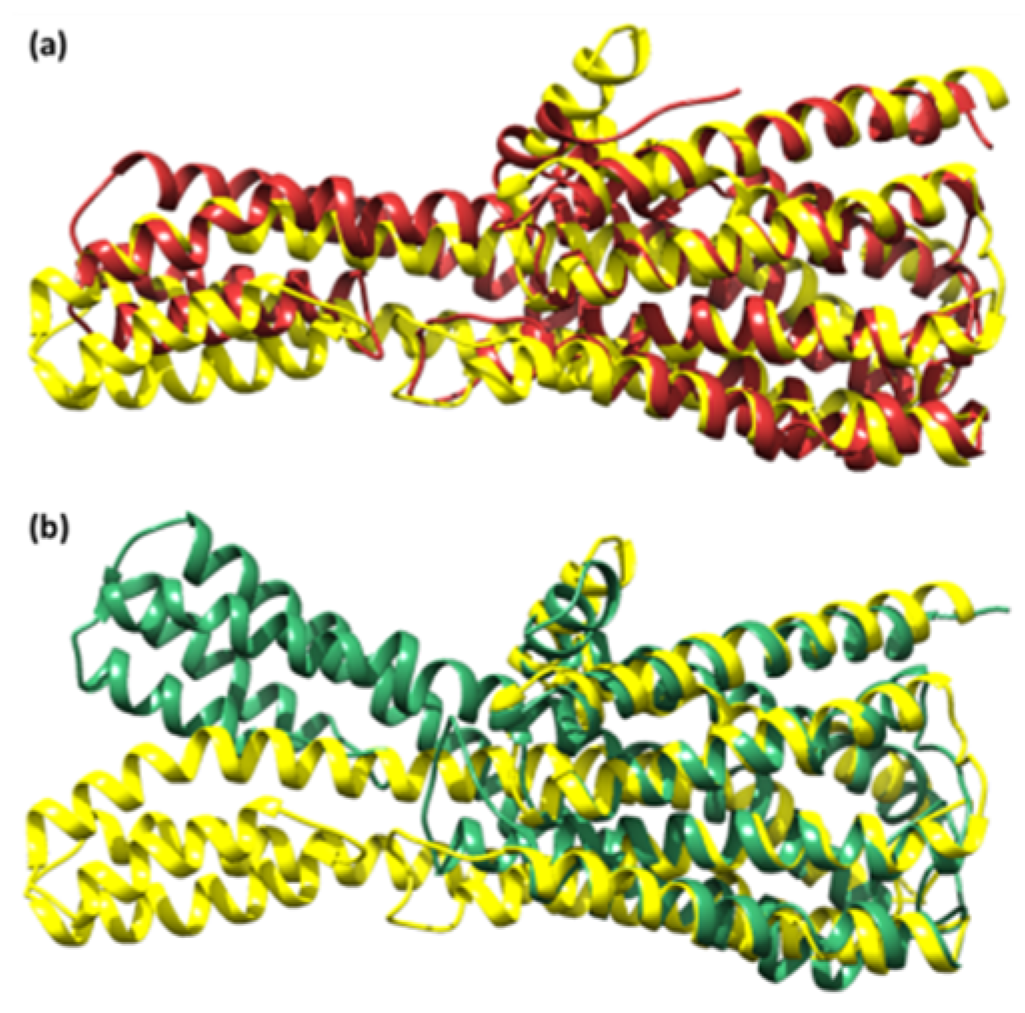 Molecules 27 04311 g011