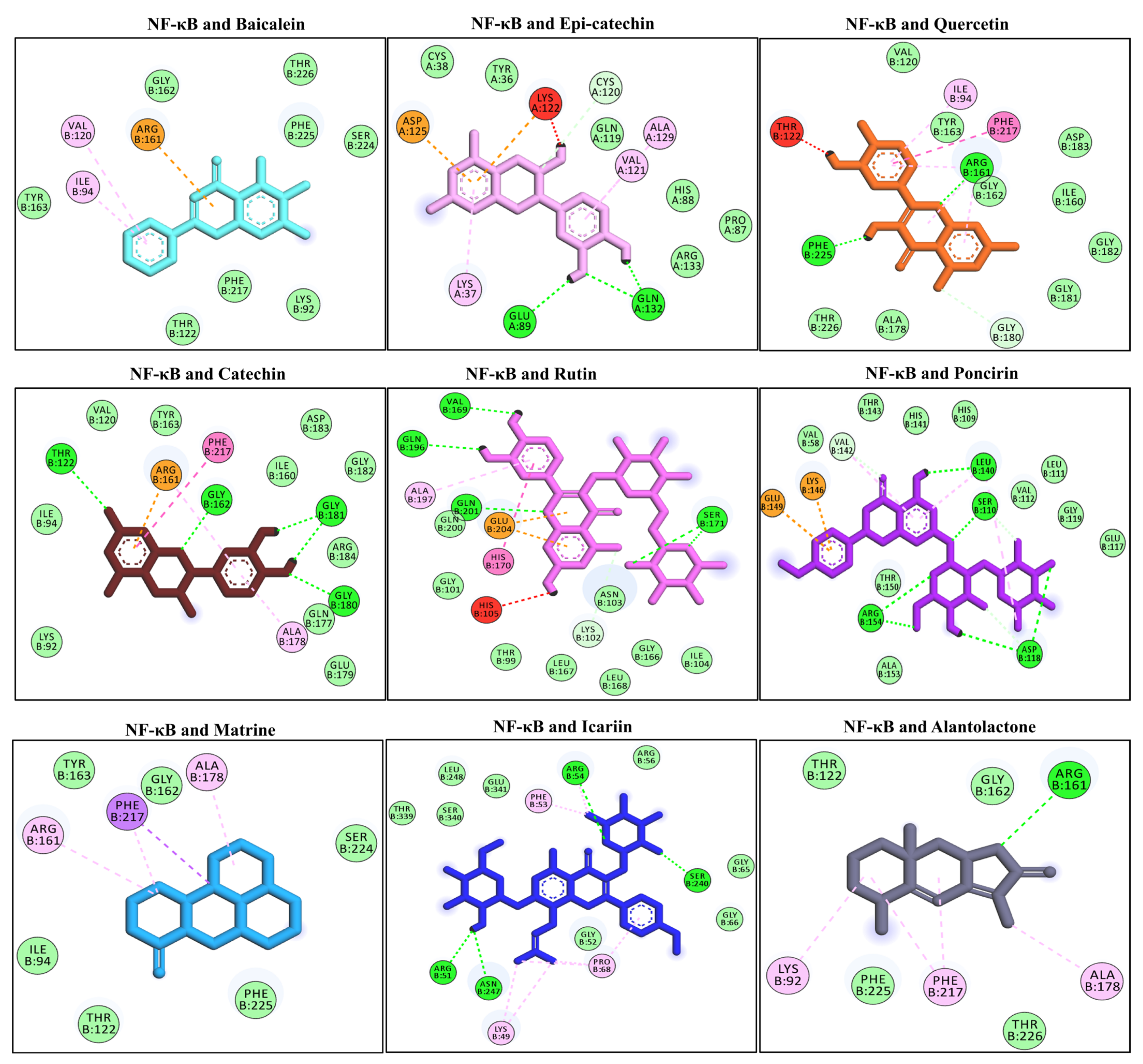 Molecules 27 04319 g005