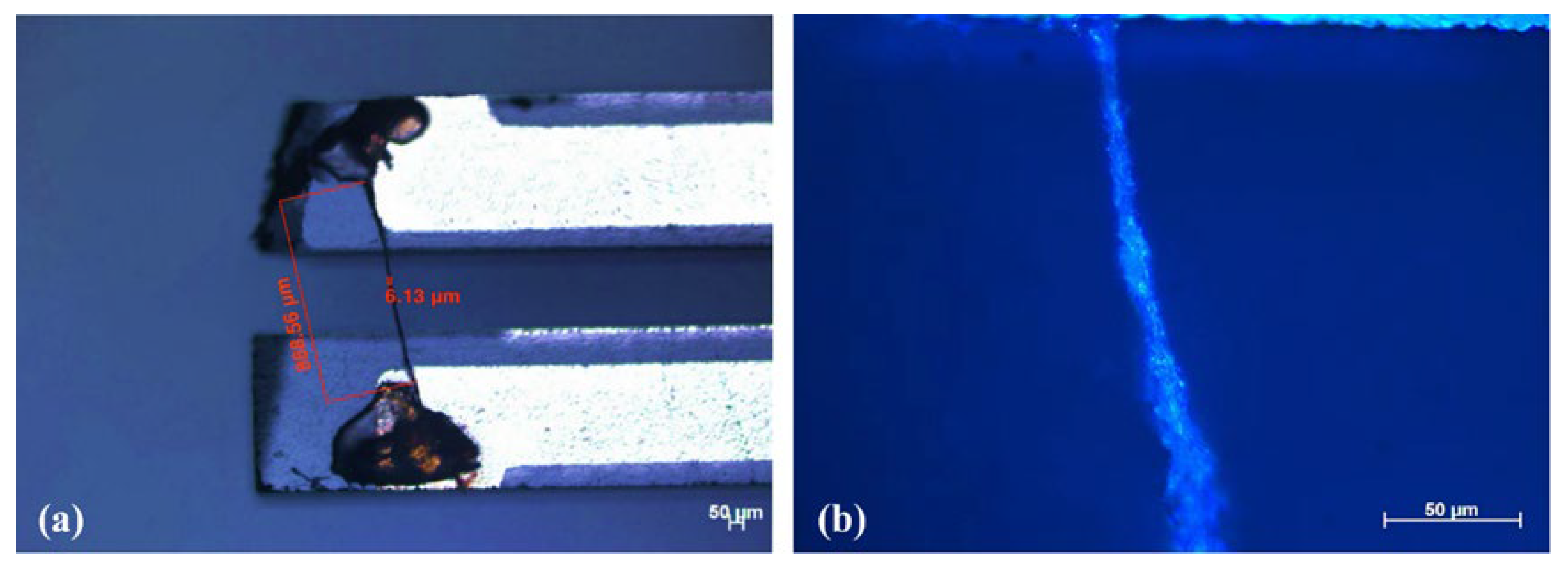 Molecules 27 04320 g001