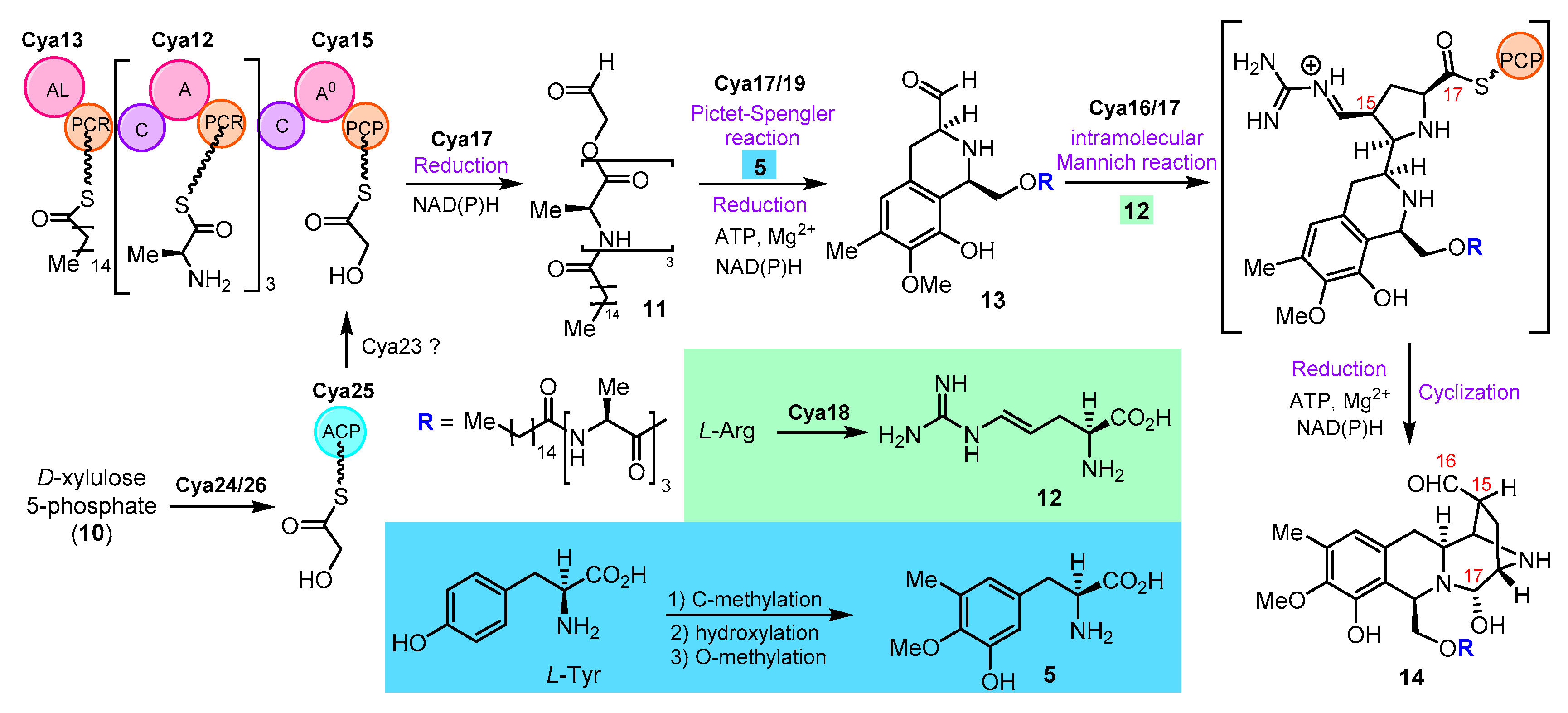 Molecules 27 04324 sch002 Molecules 27 04324 sch002