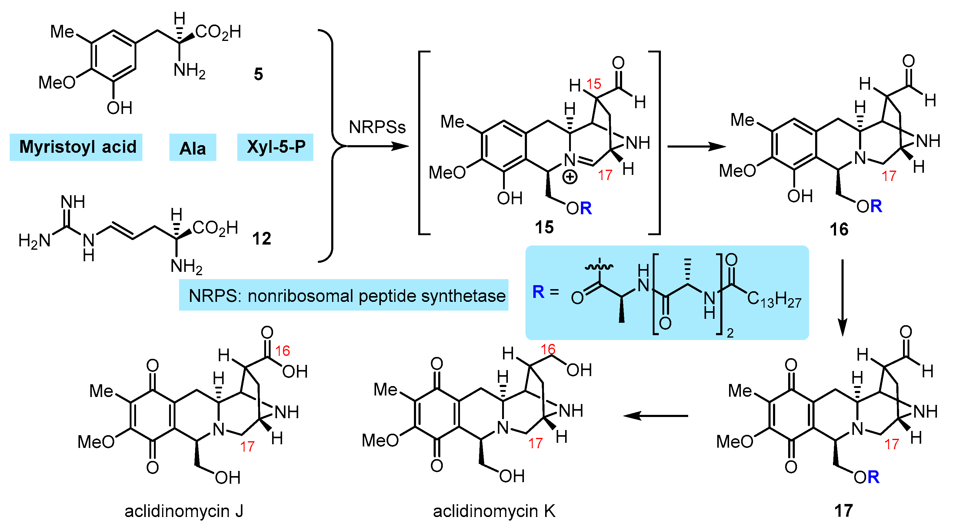 Molecules 27 04324 sch003 Molecules 27 04324 sch003