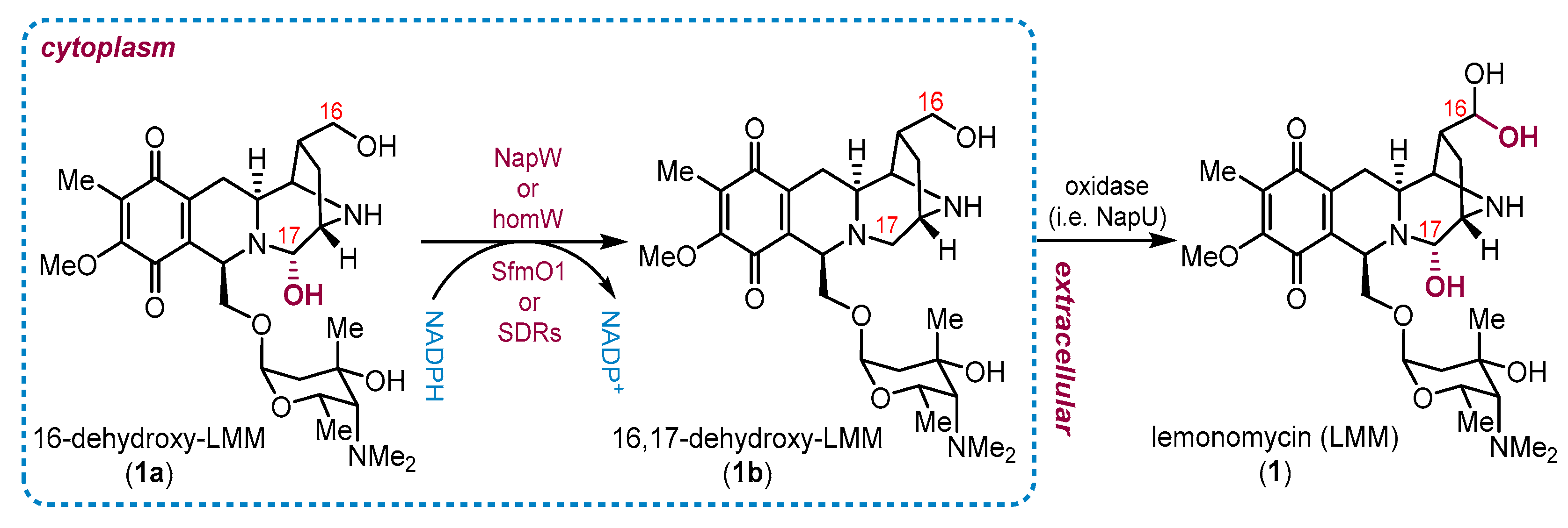Molecules 27 04324 sch004 Molecules 27 04324 sch004
