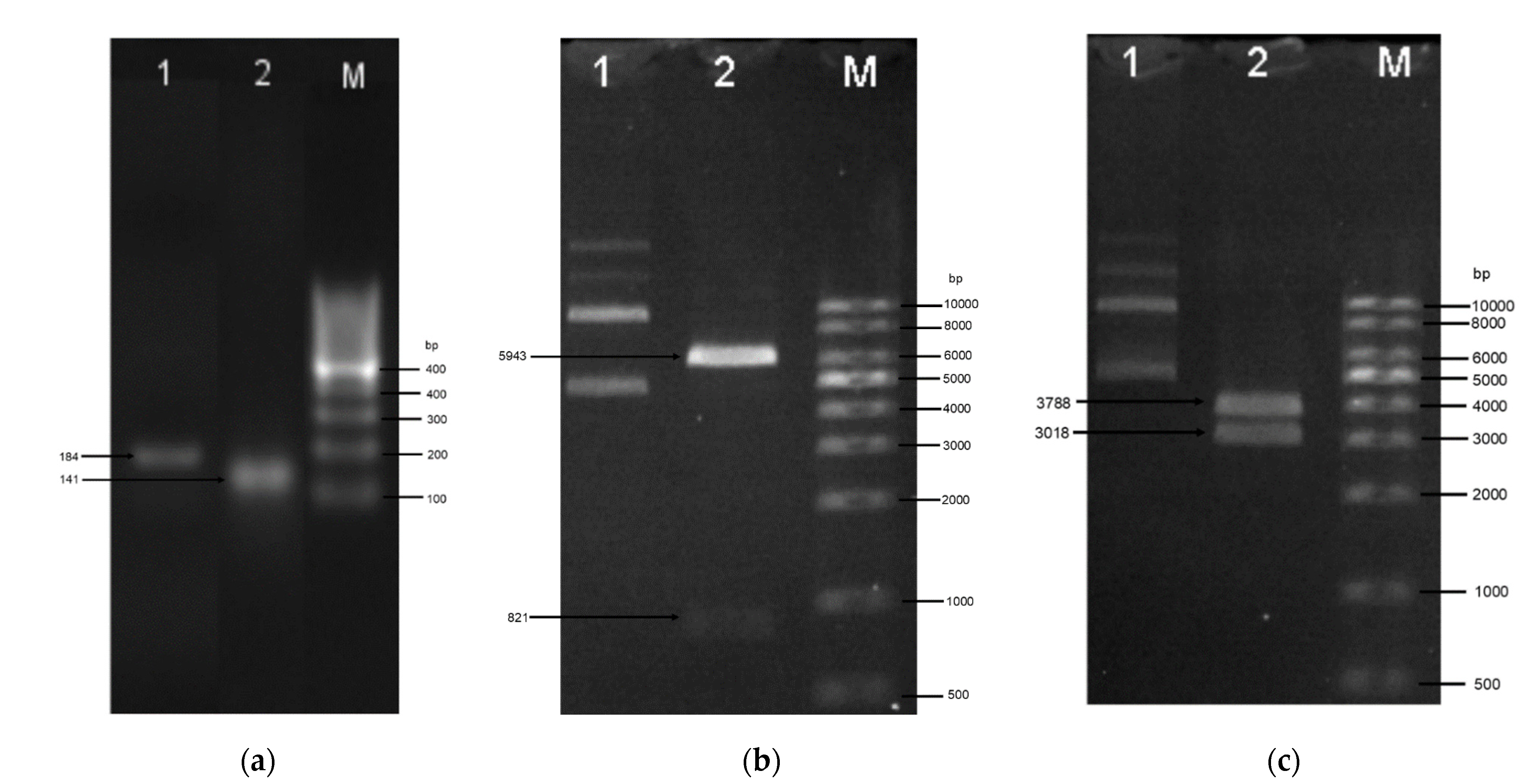 Molecules 27 04325 g002