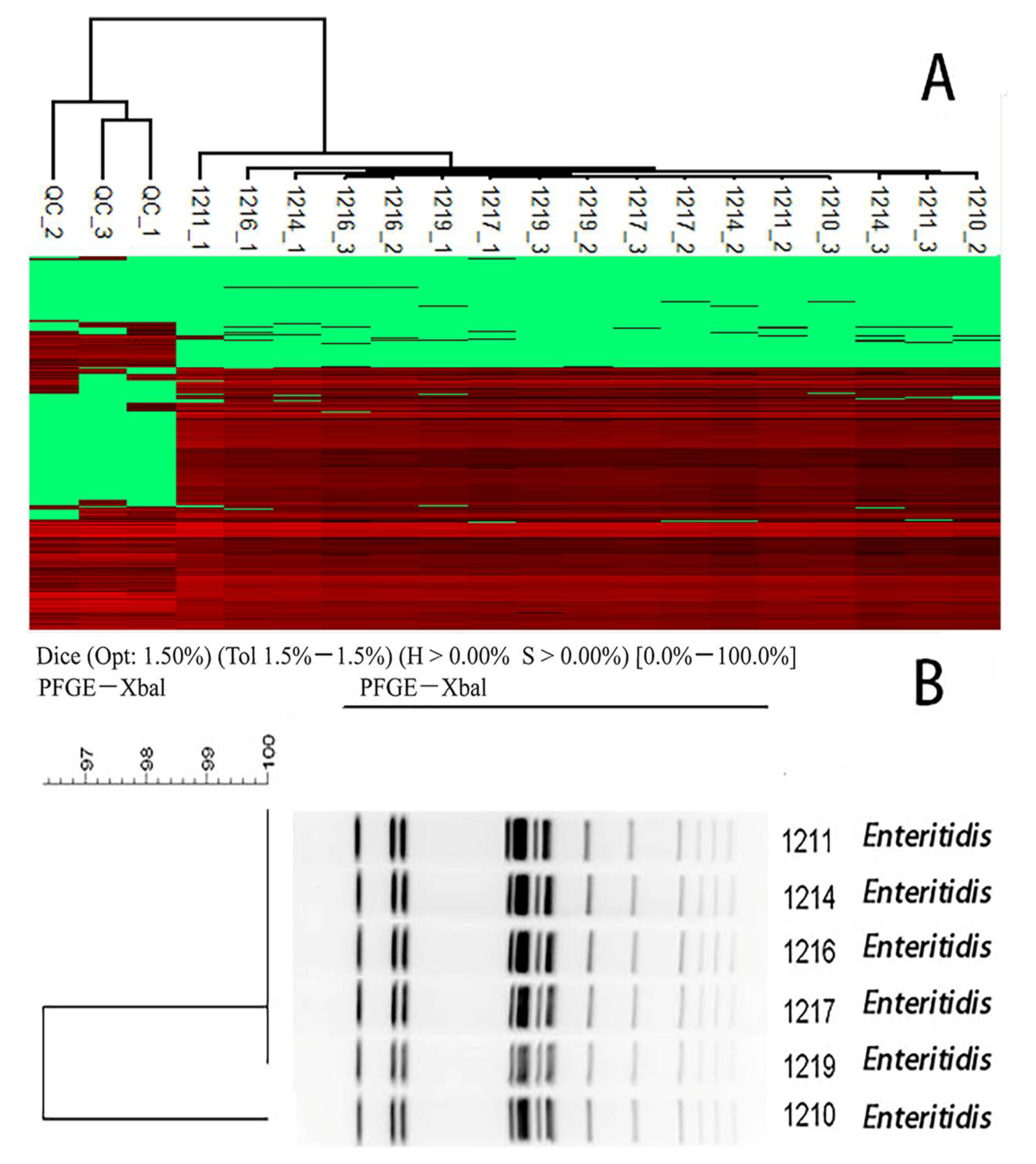 Molecules 27 04334 g005