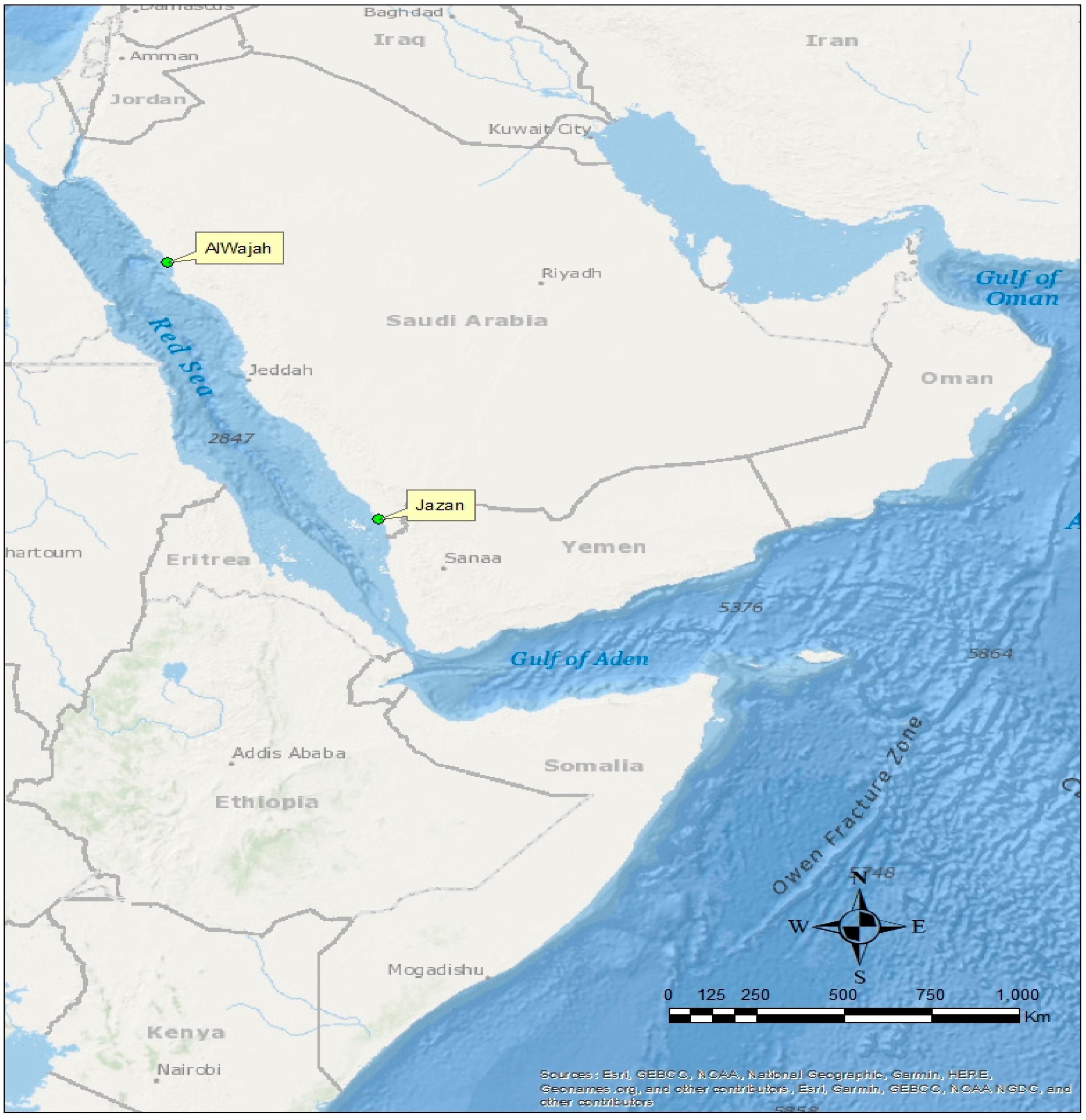 Molecules 27 04335 g007
