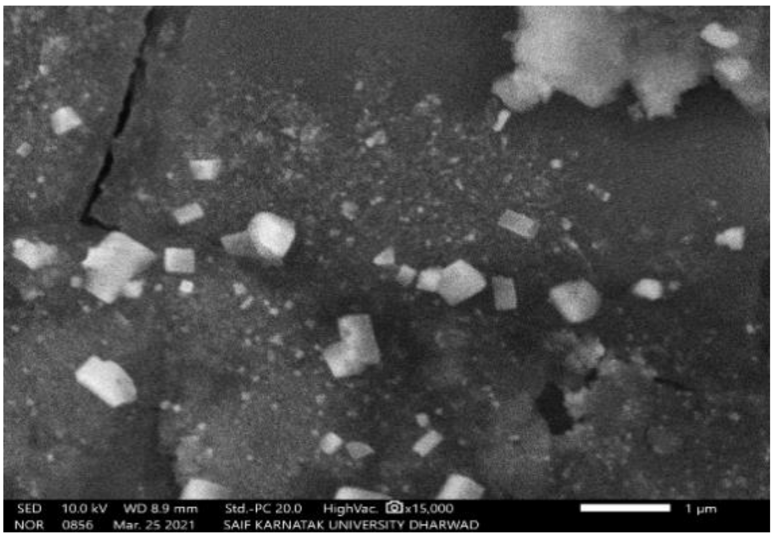 Molecules 27 04336 g004