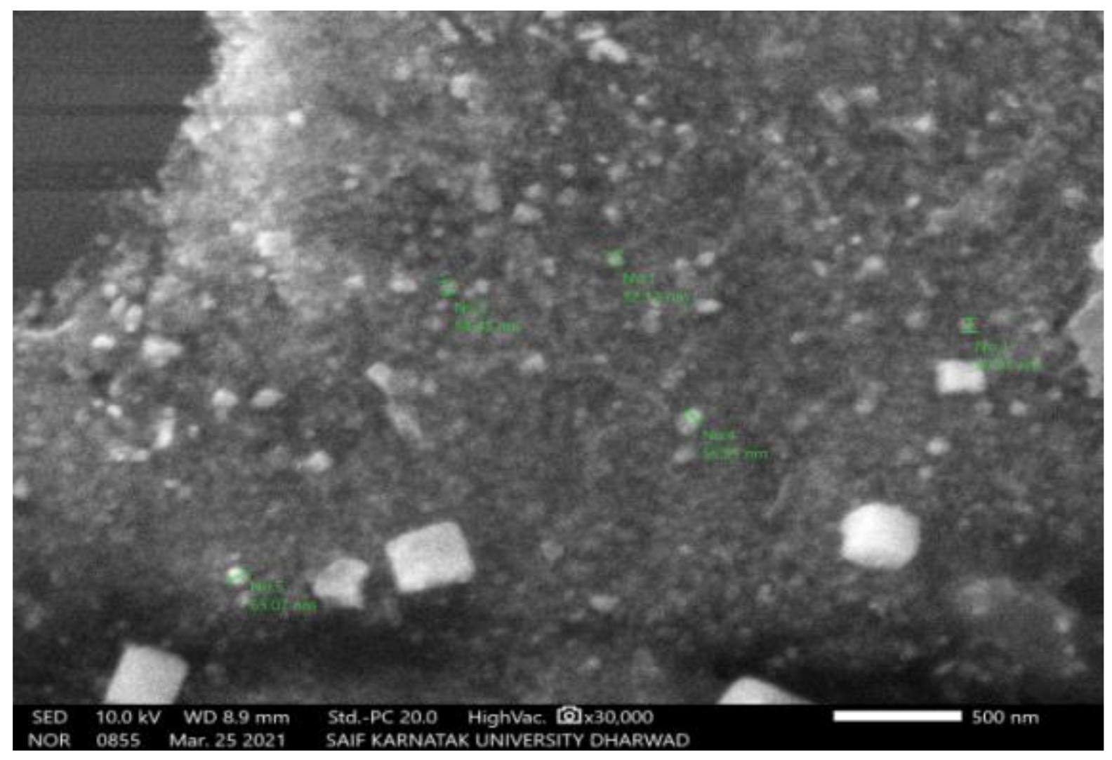 Molecules 27 04336 g005