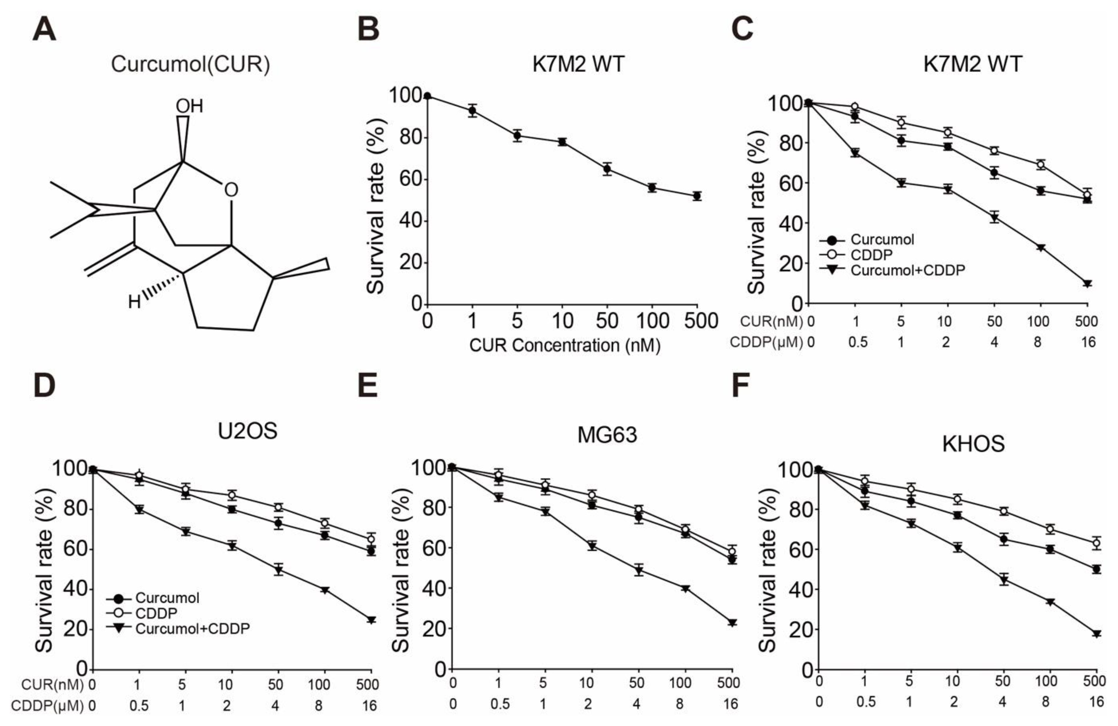 Molecules 27 04345 g001