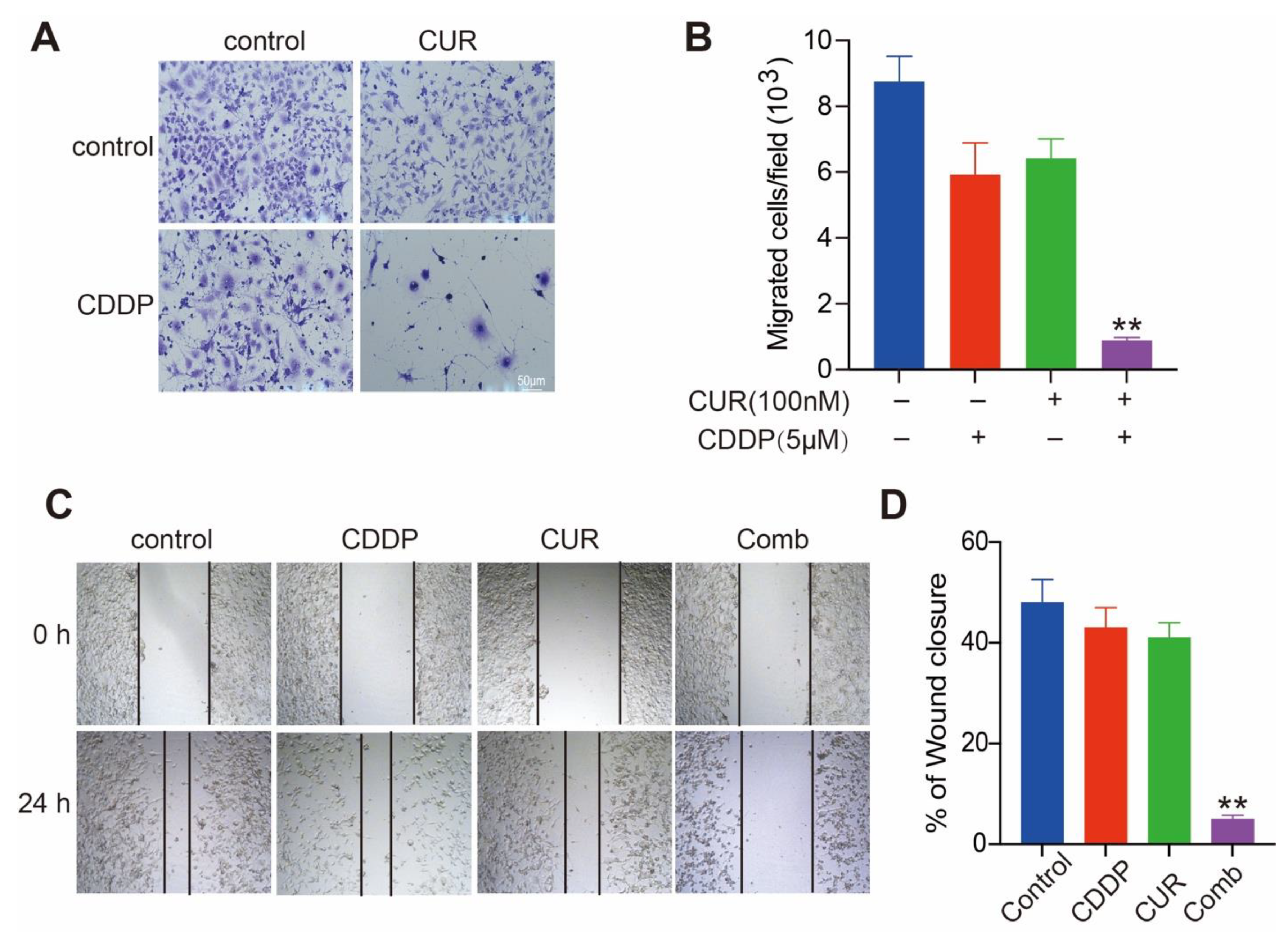 Molecules 27 04345 g003