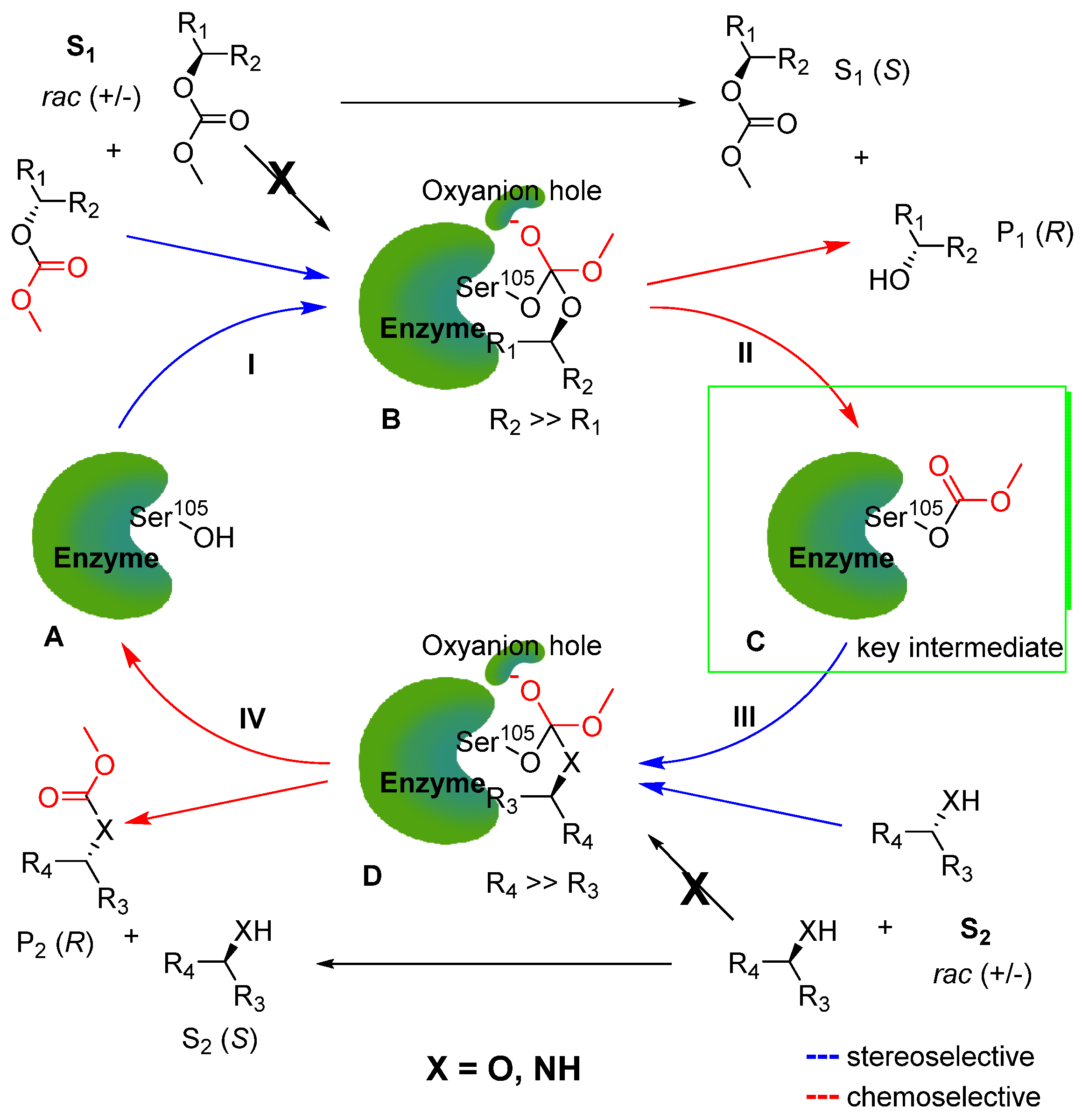 Molecules 27 04346 sch003