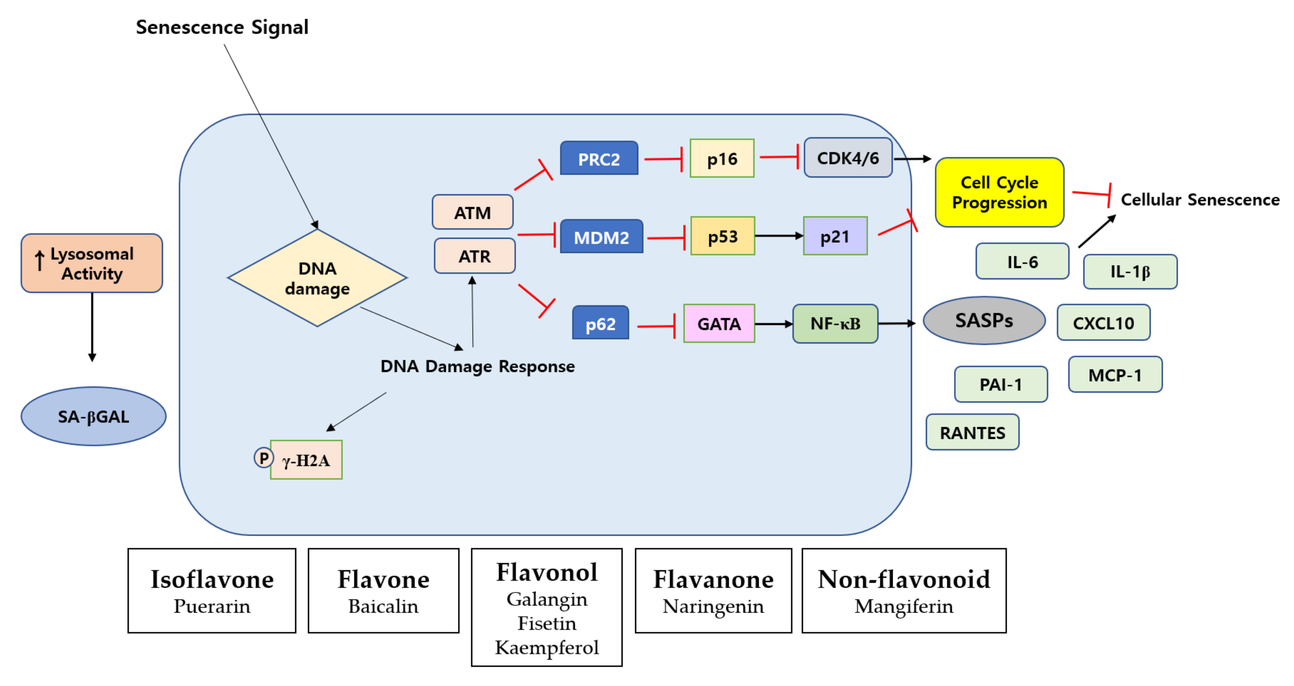 Molecules 27 04351 g003
