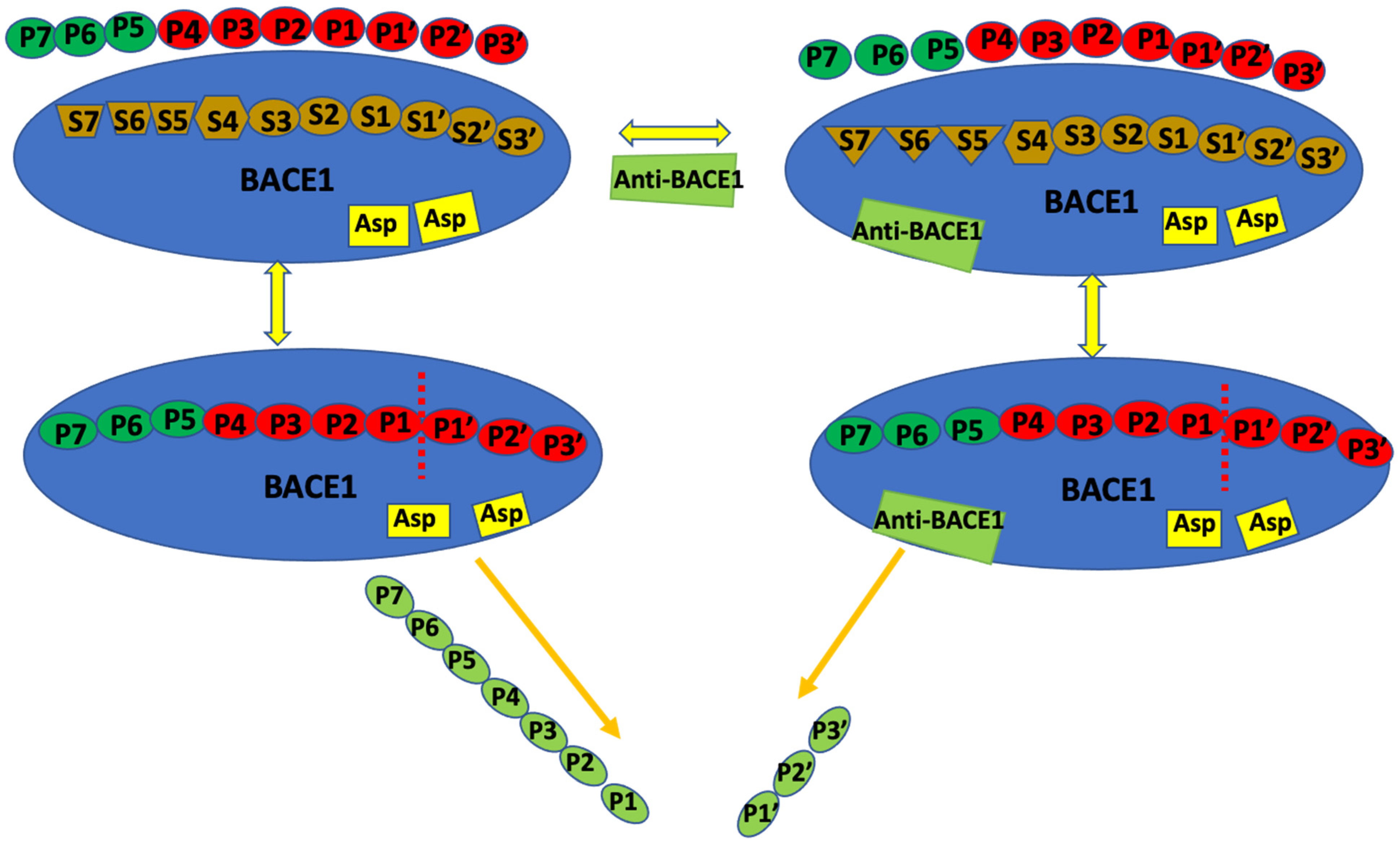 Molecules 27 04372 g002 Molecules 27 04372 g002