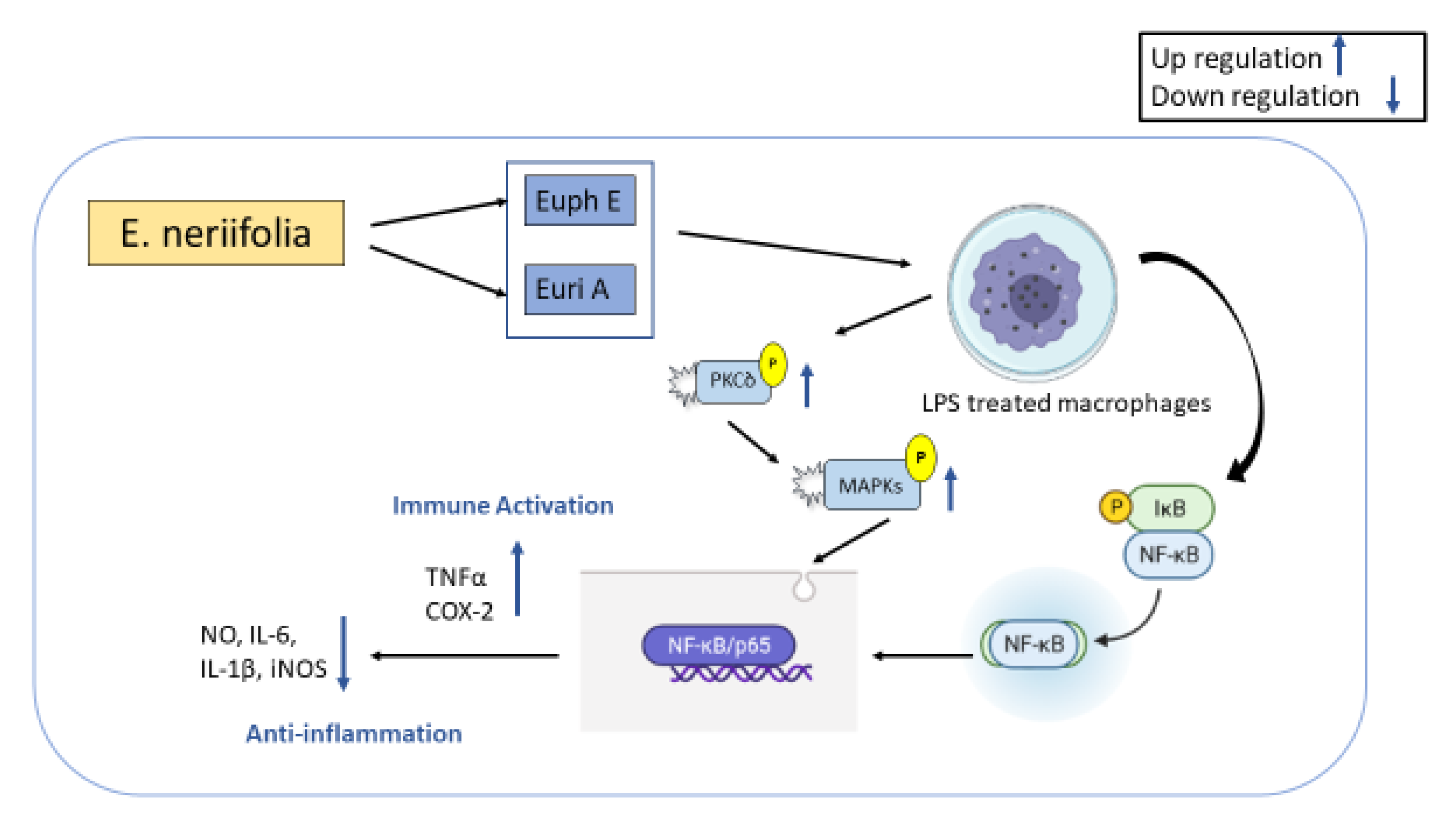 Molecules 27 04374 g005