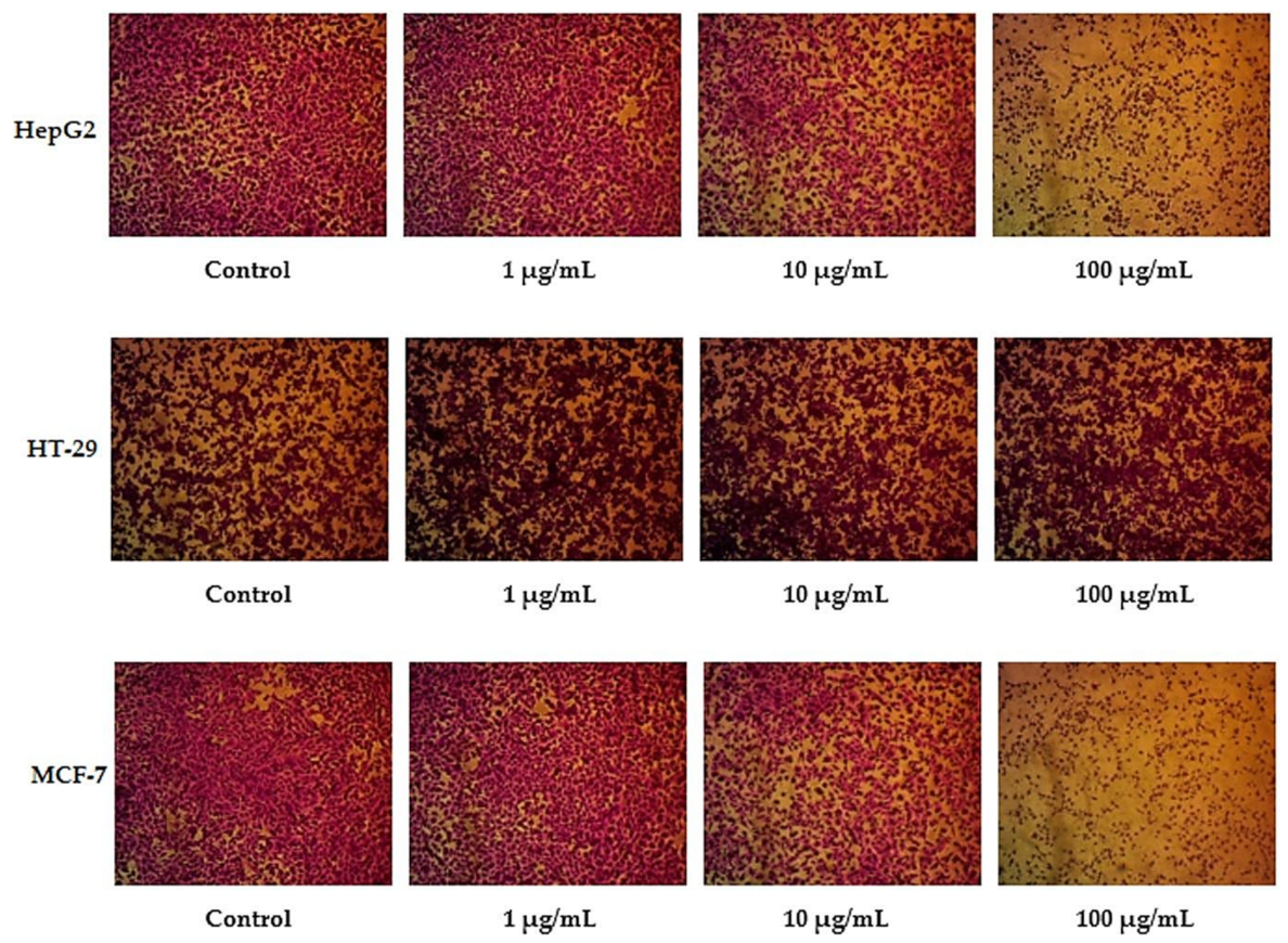 Molecules 27 04384 g001