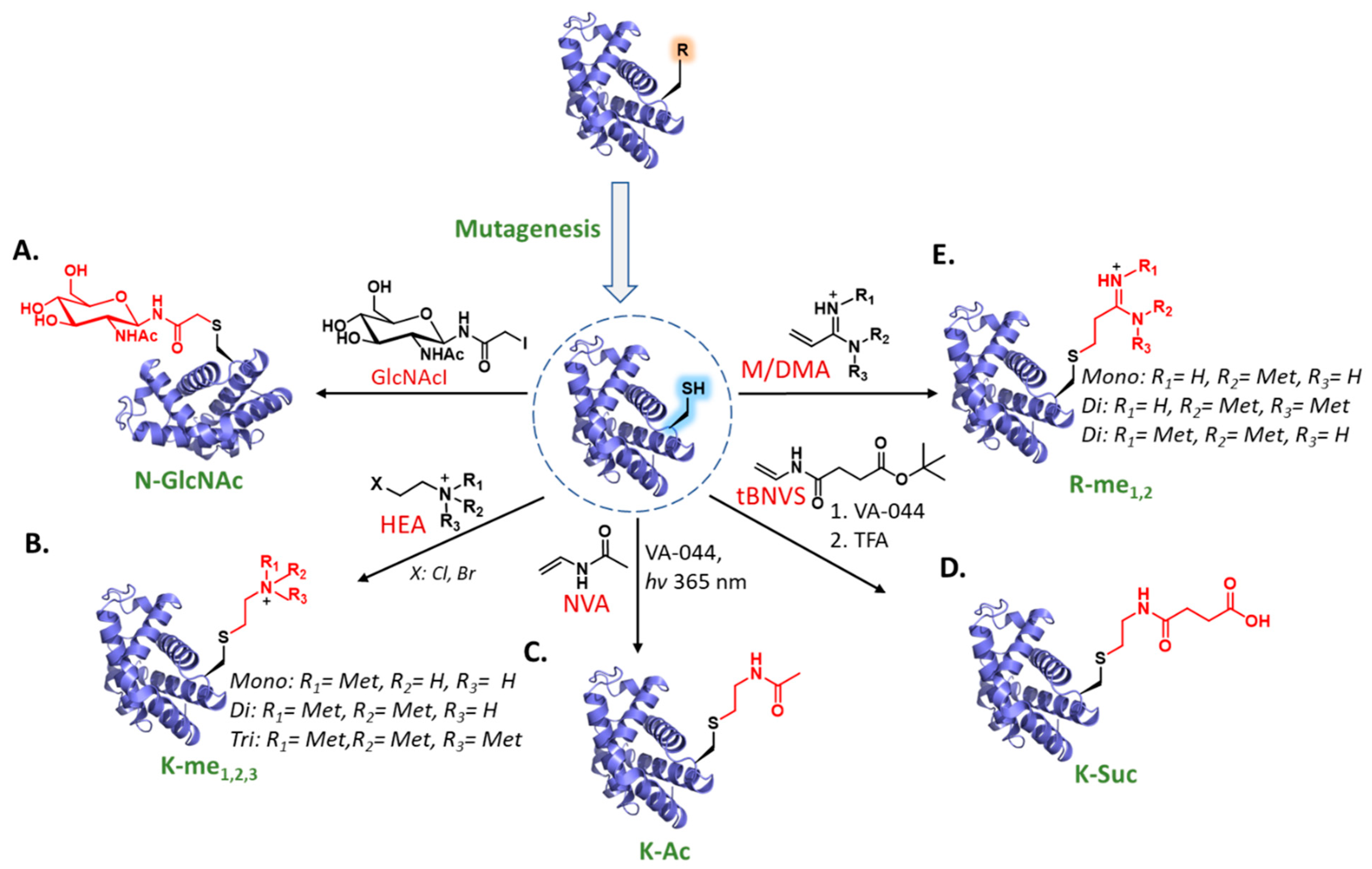 Molecules 27 04389 g002