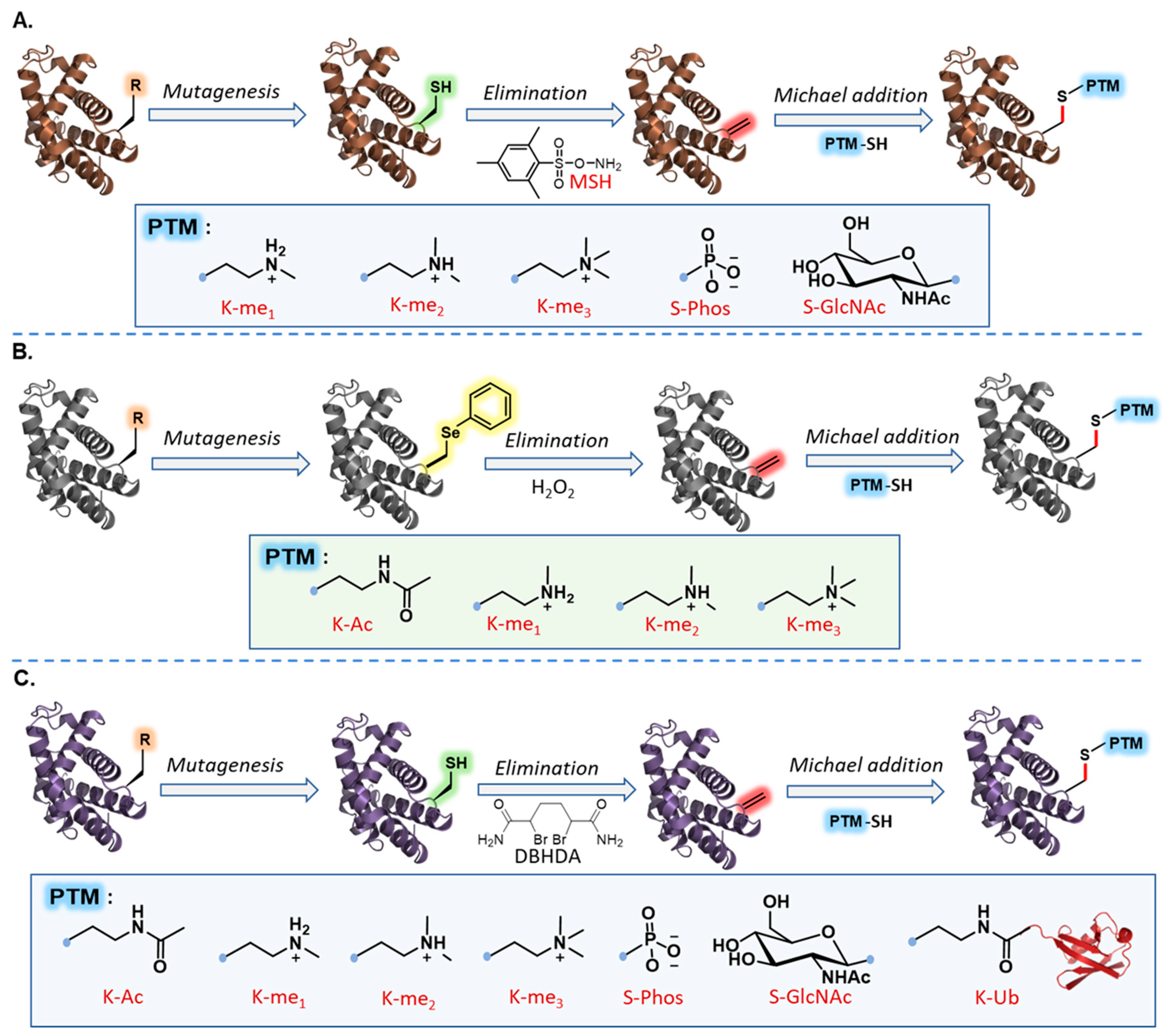 Molecules 27 04389 g004