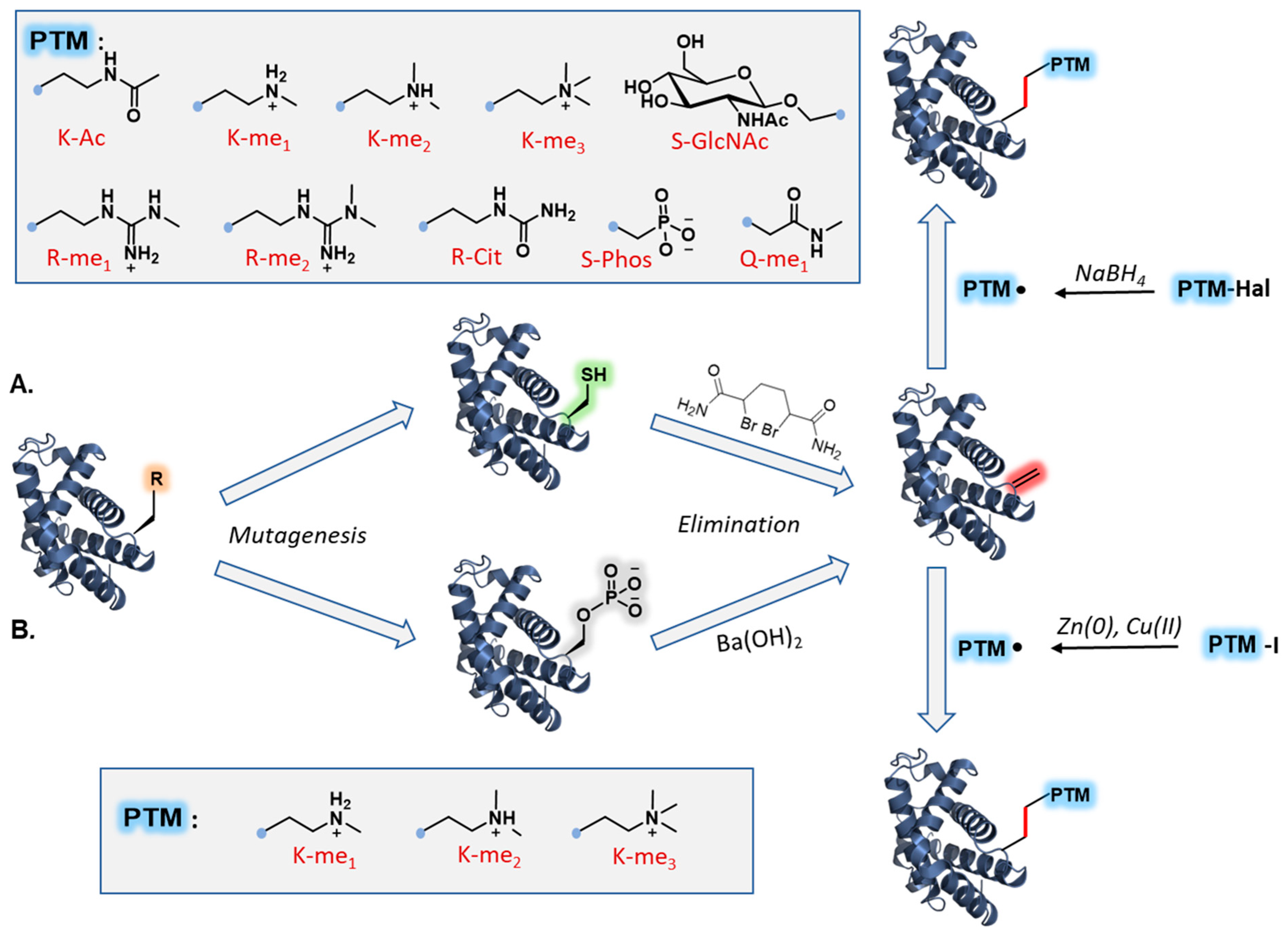 Molecules 27 04389 g006