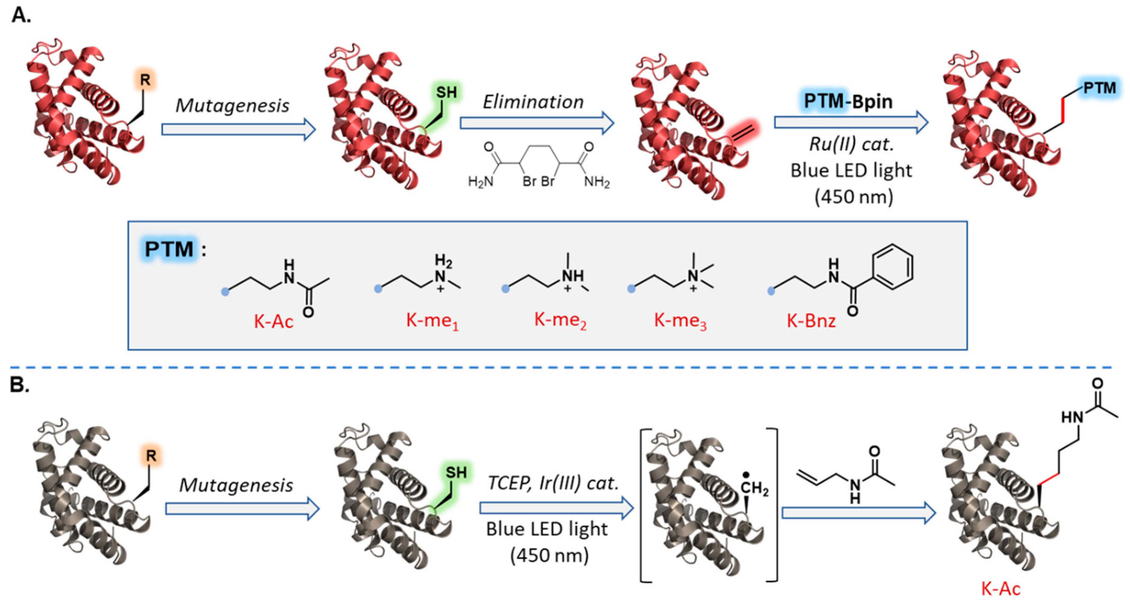 Molecules 27 04389 g007