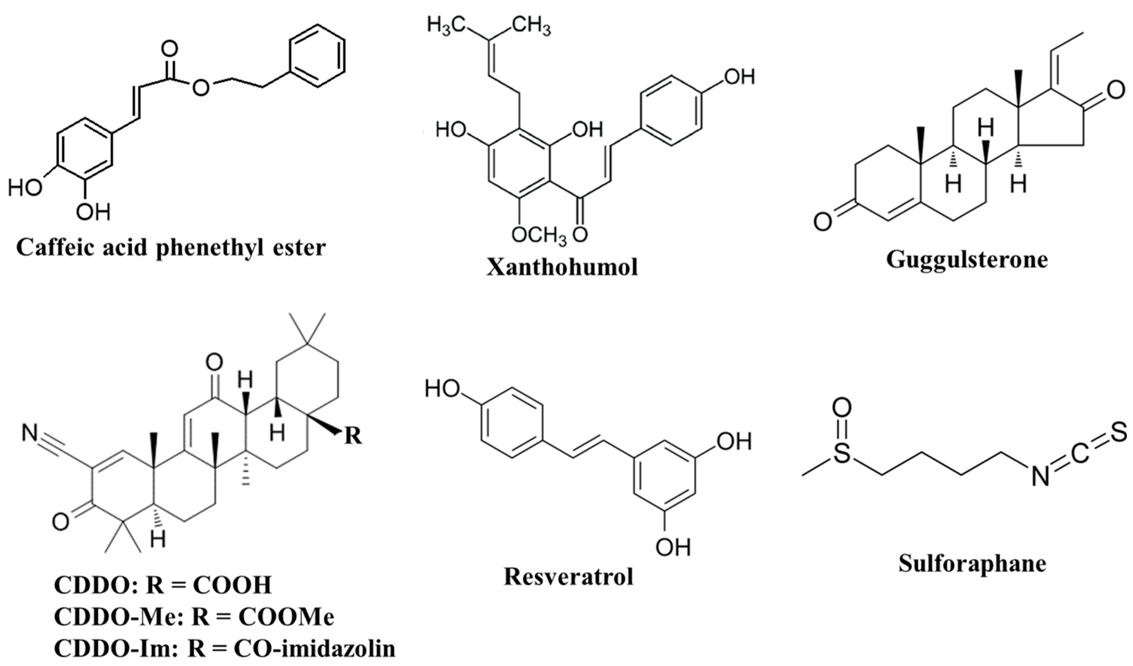 Molecules 27 04396 g001 Molecules 27 04396 g001
