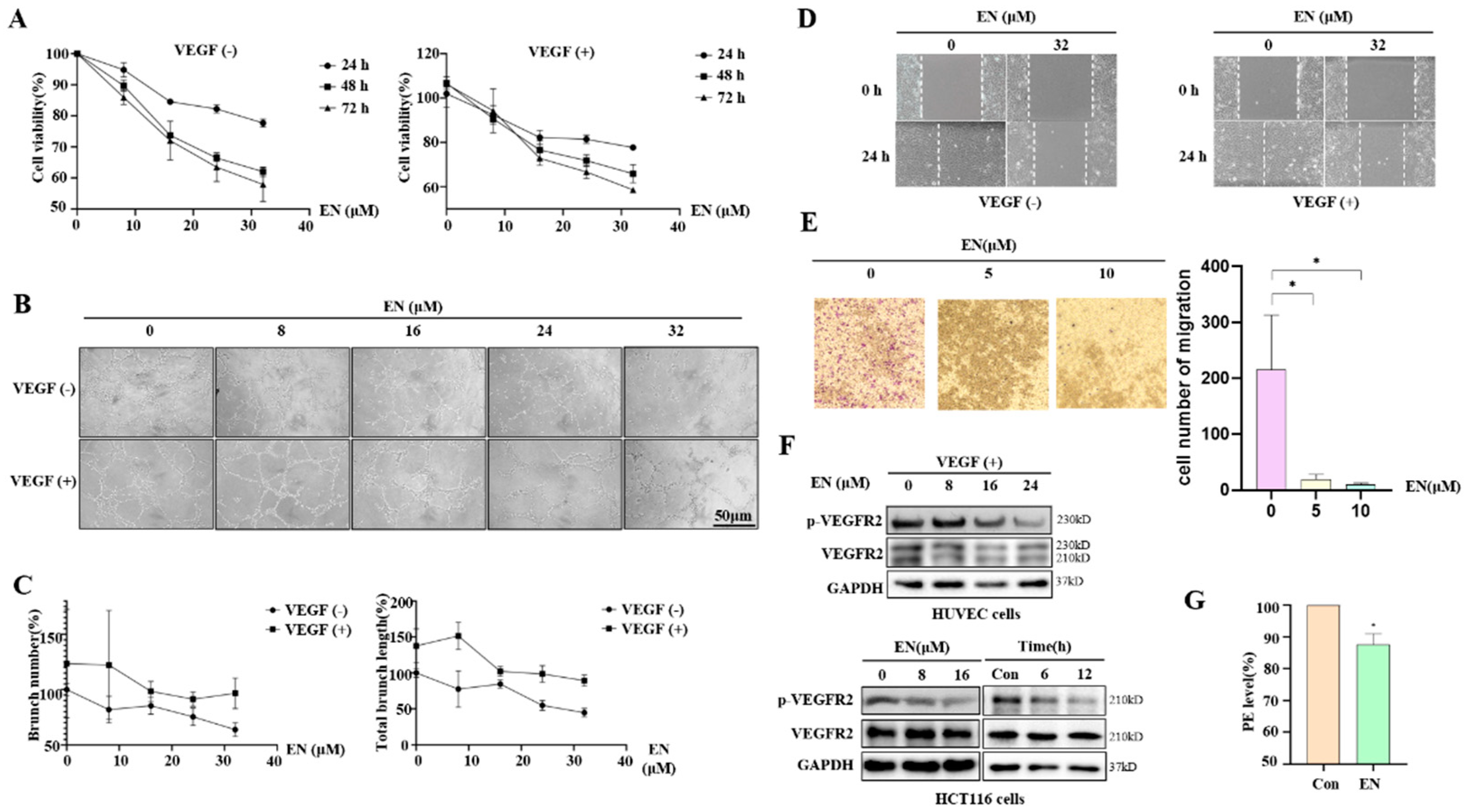 Molecules 27 04398 g002