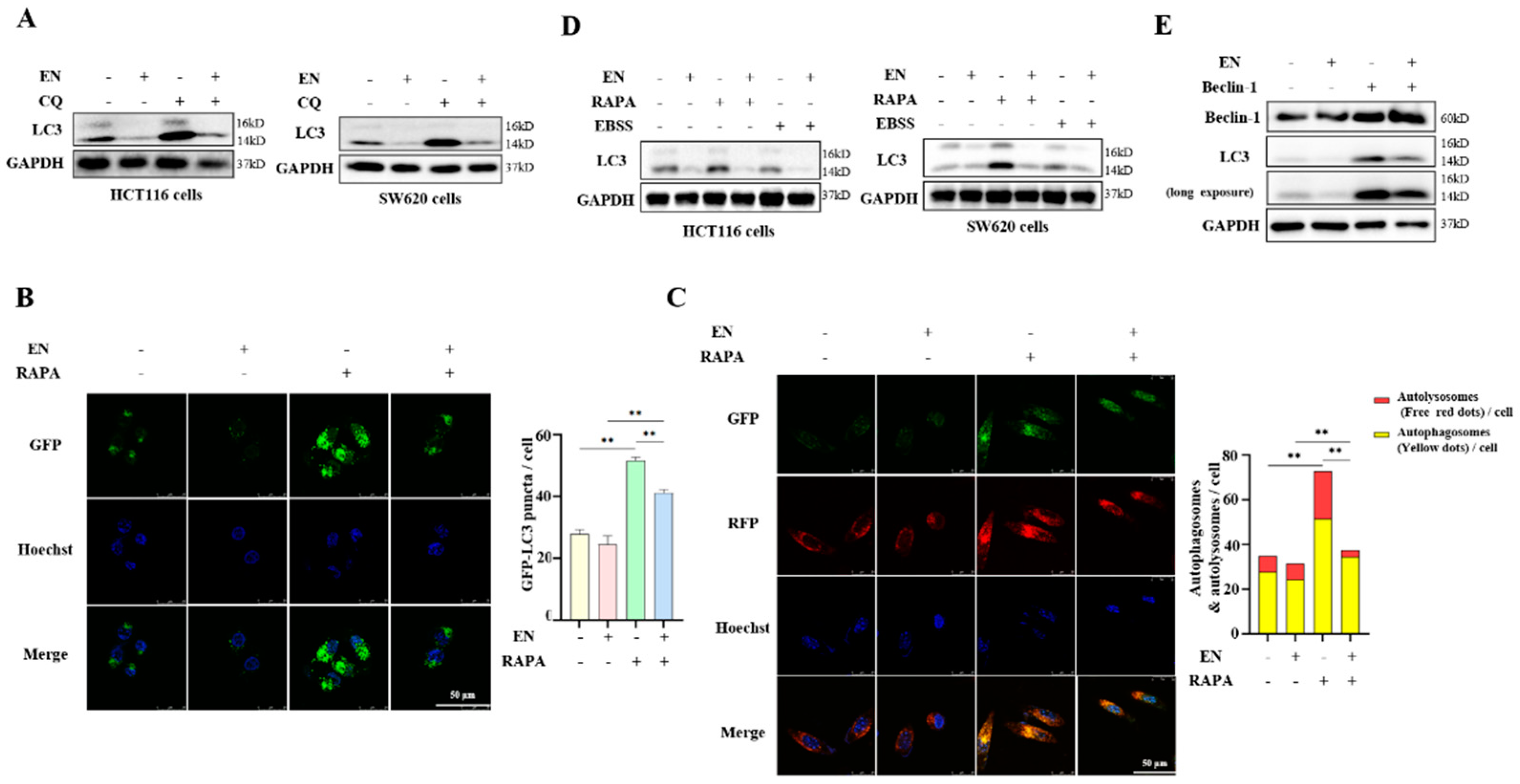 Molecules 27 04398 g003