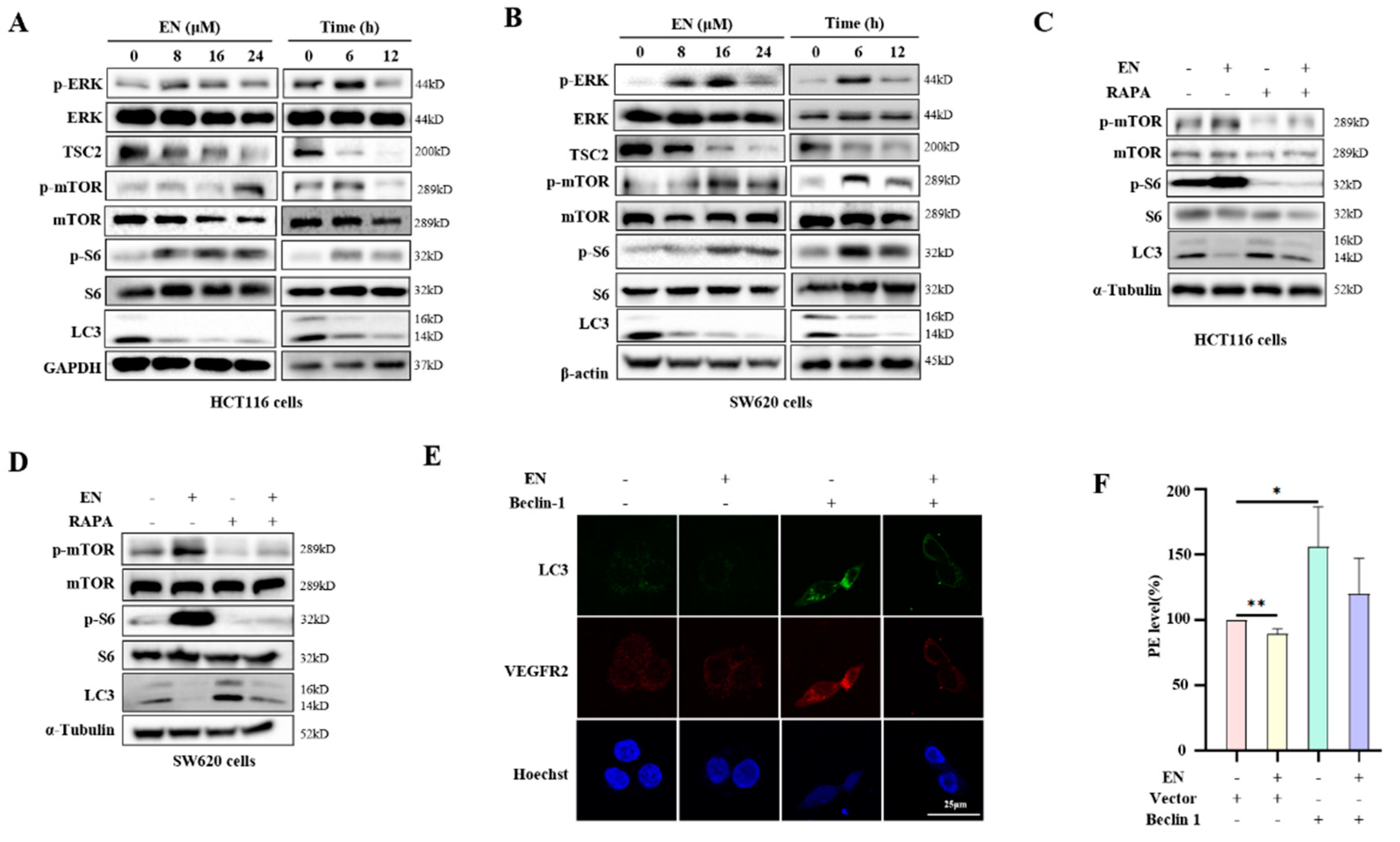 Molecules 27 04398 g004