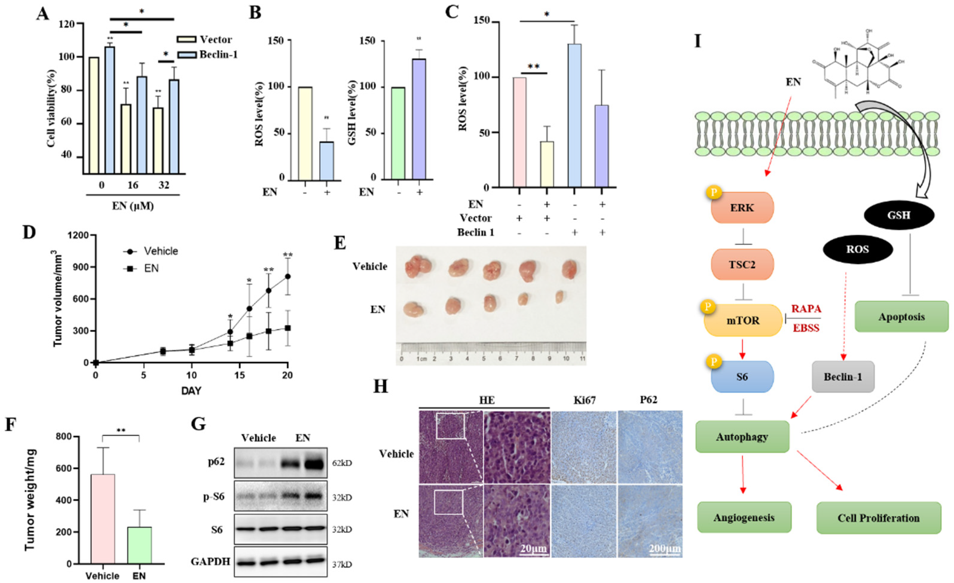 Molecules 27 04398 g005