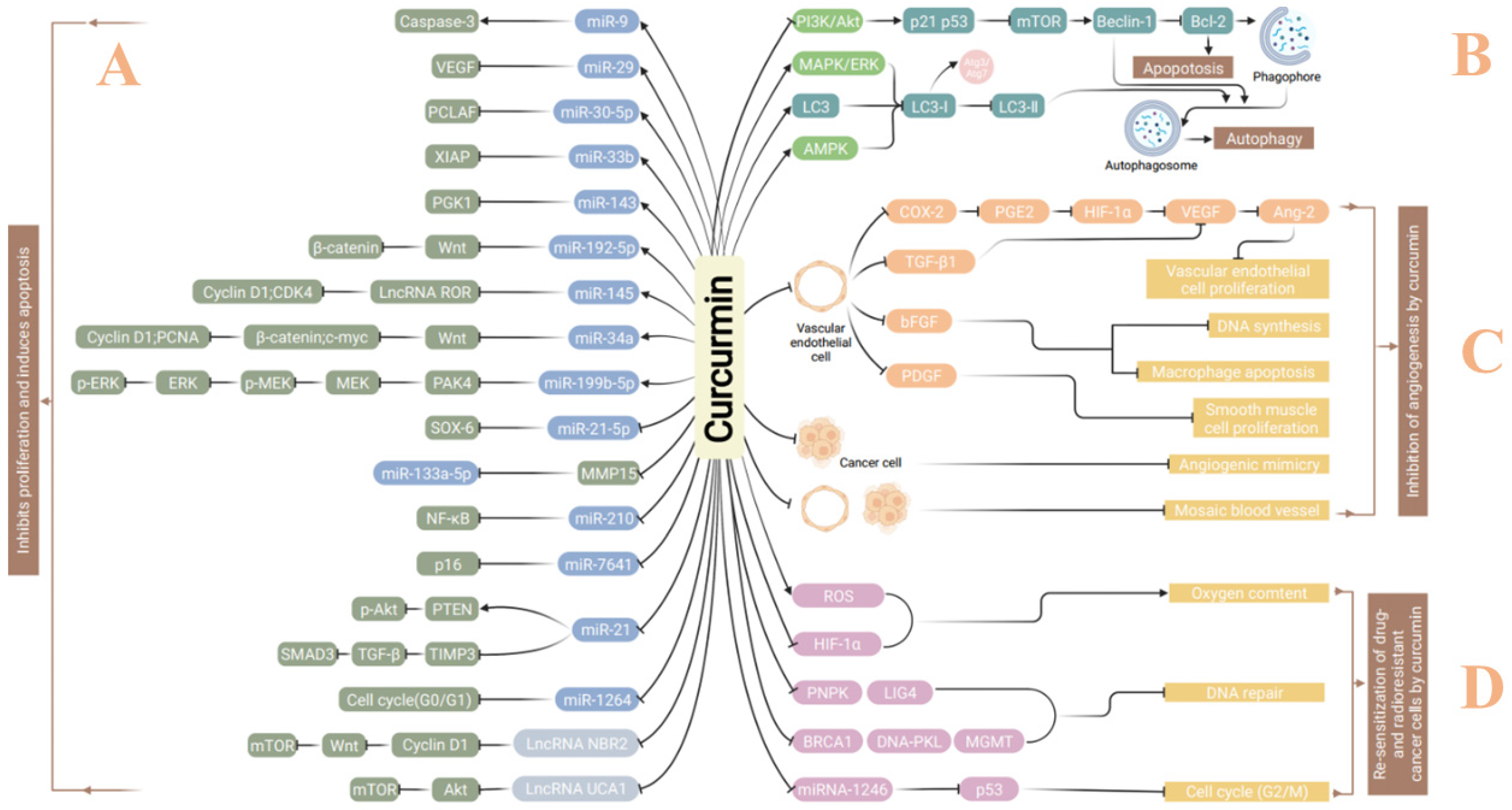 Molecules 27 04400 g002