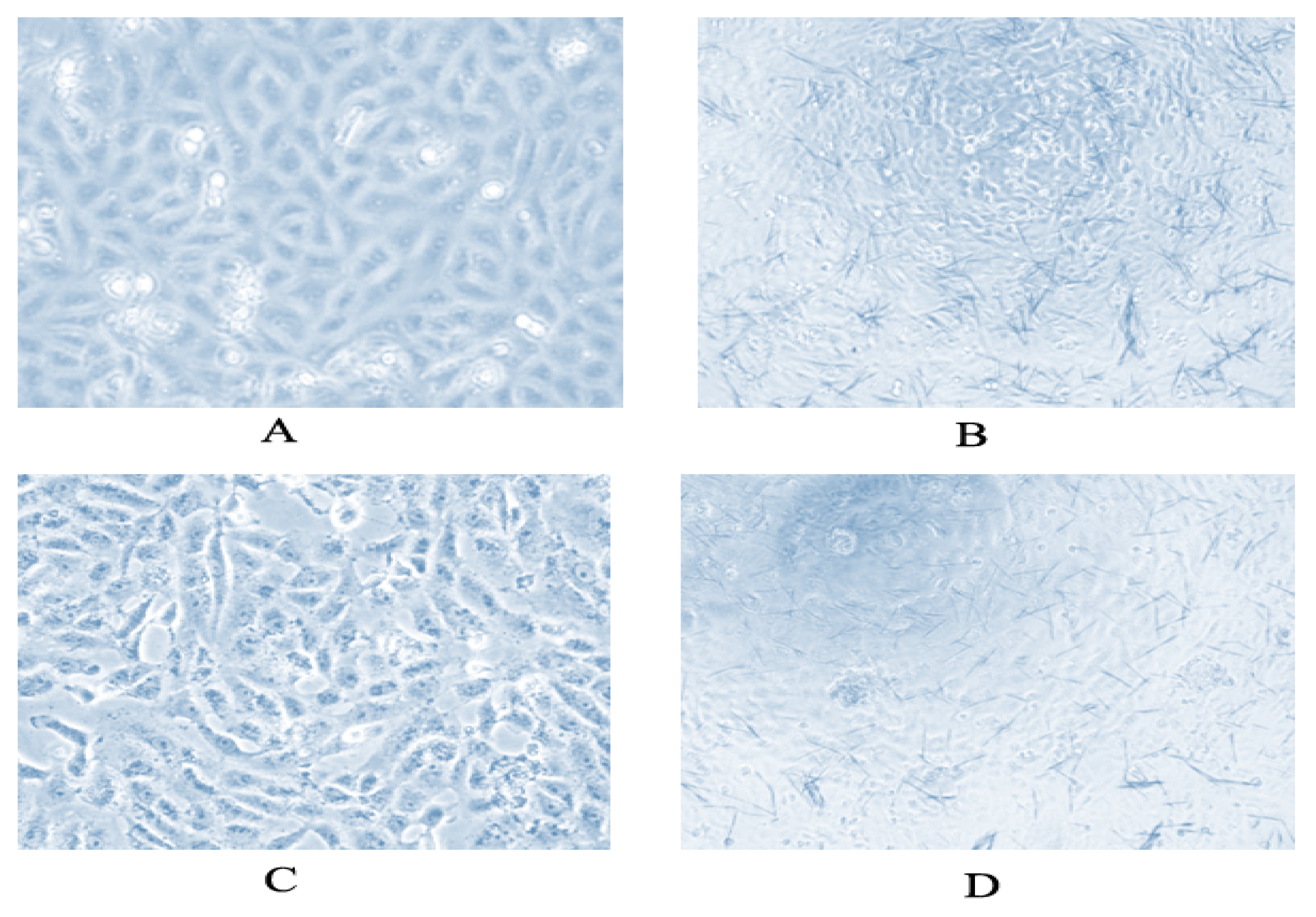 Molecules 27 04406 g007