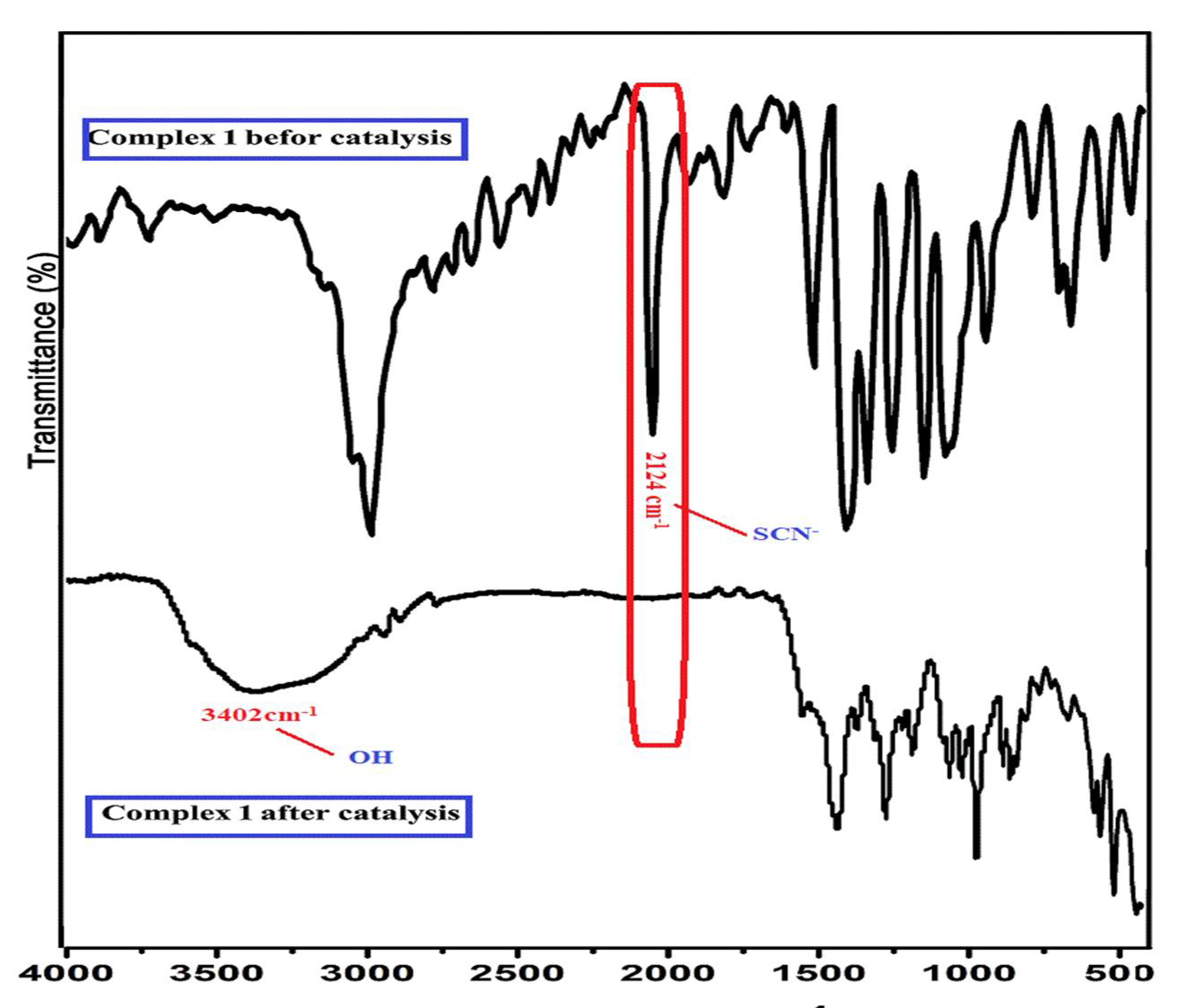 Molecules 27 04406 g011