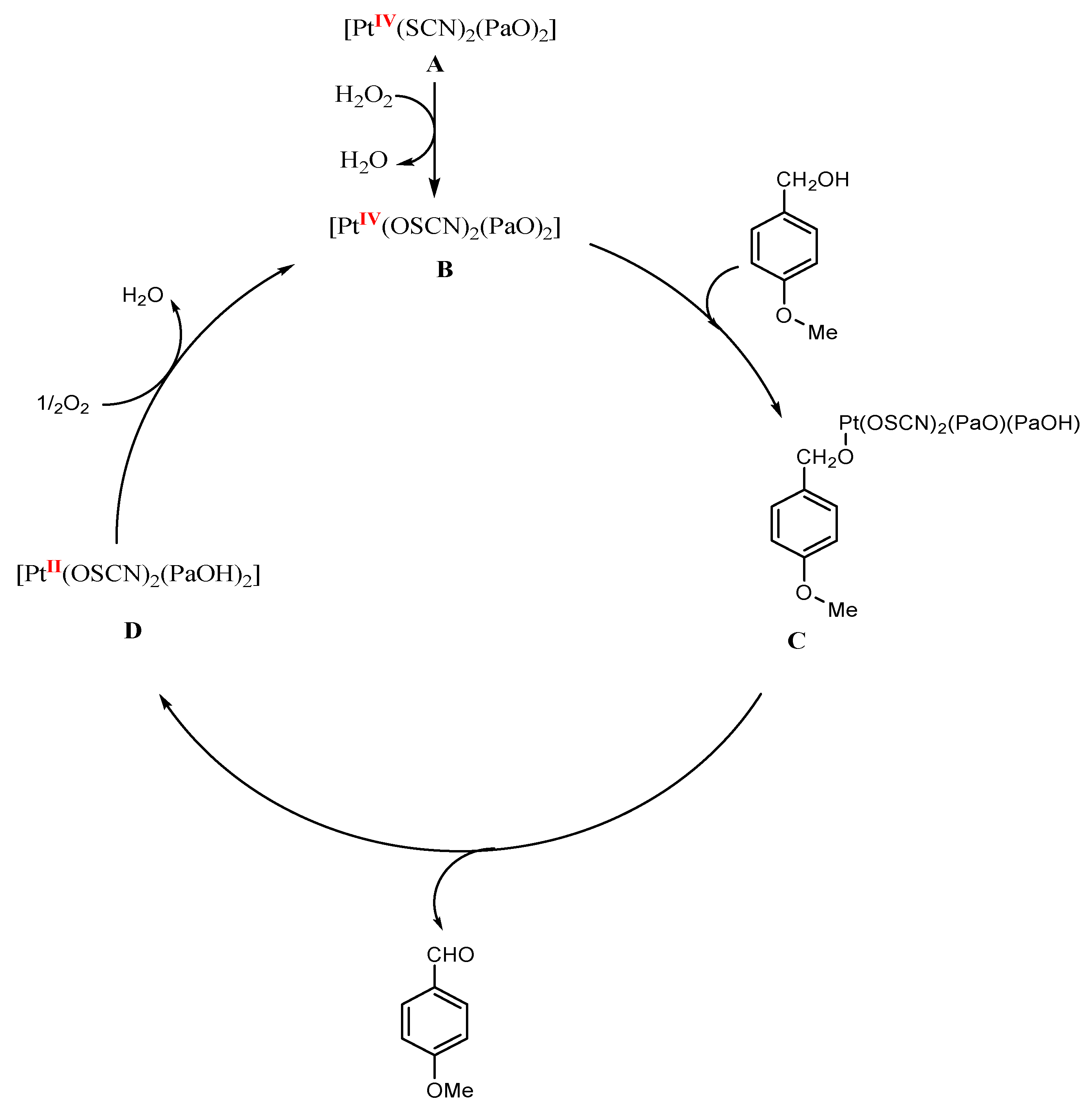Molecules 27 04406 sch003