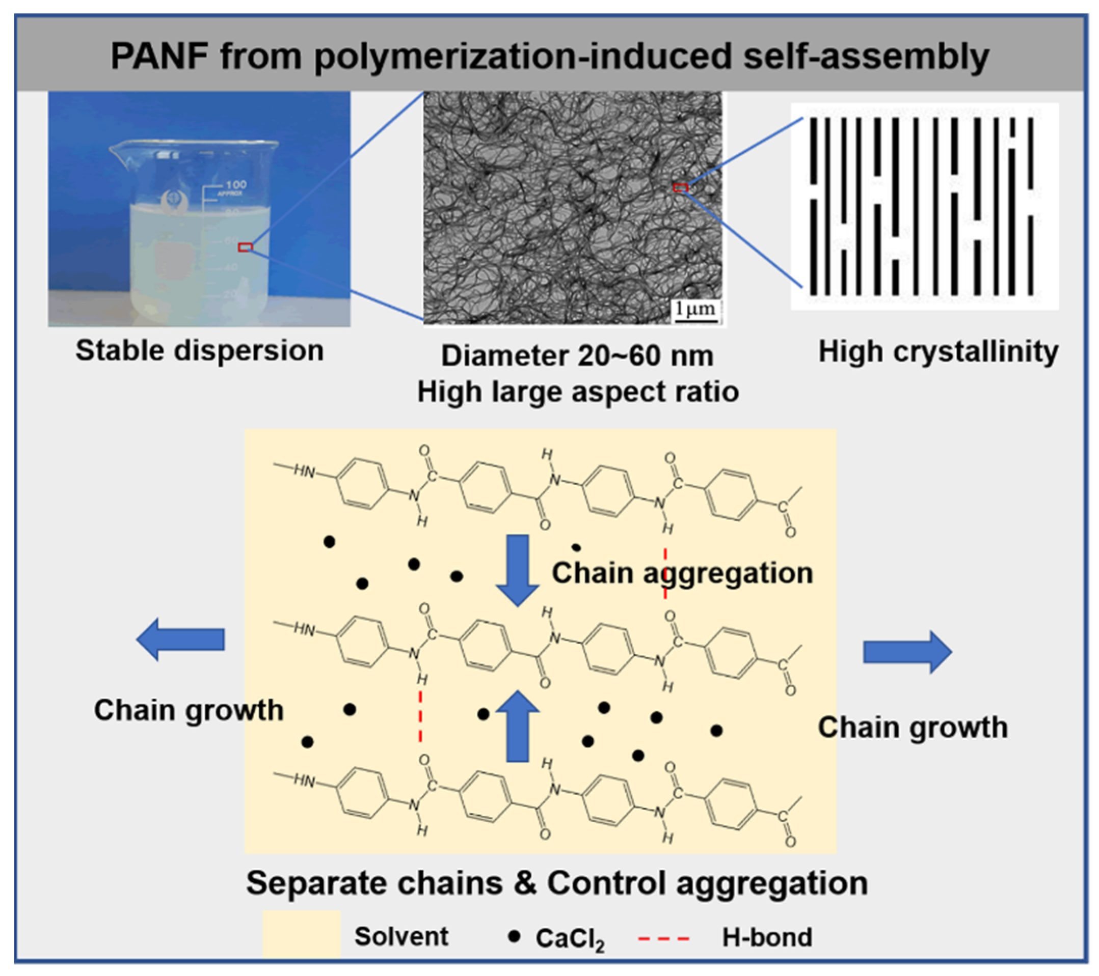 Molecules 27 04413 g006