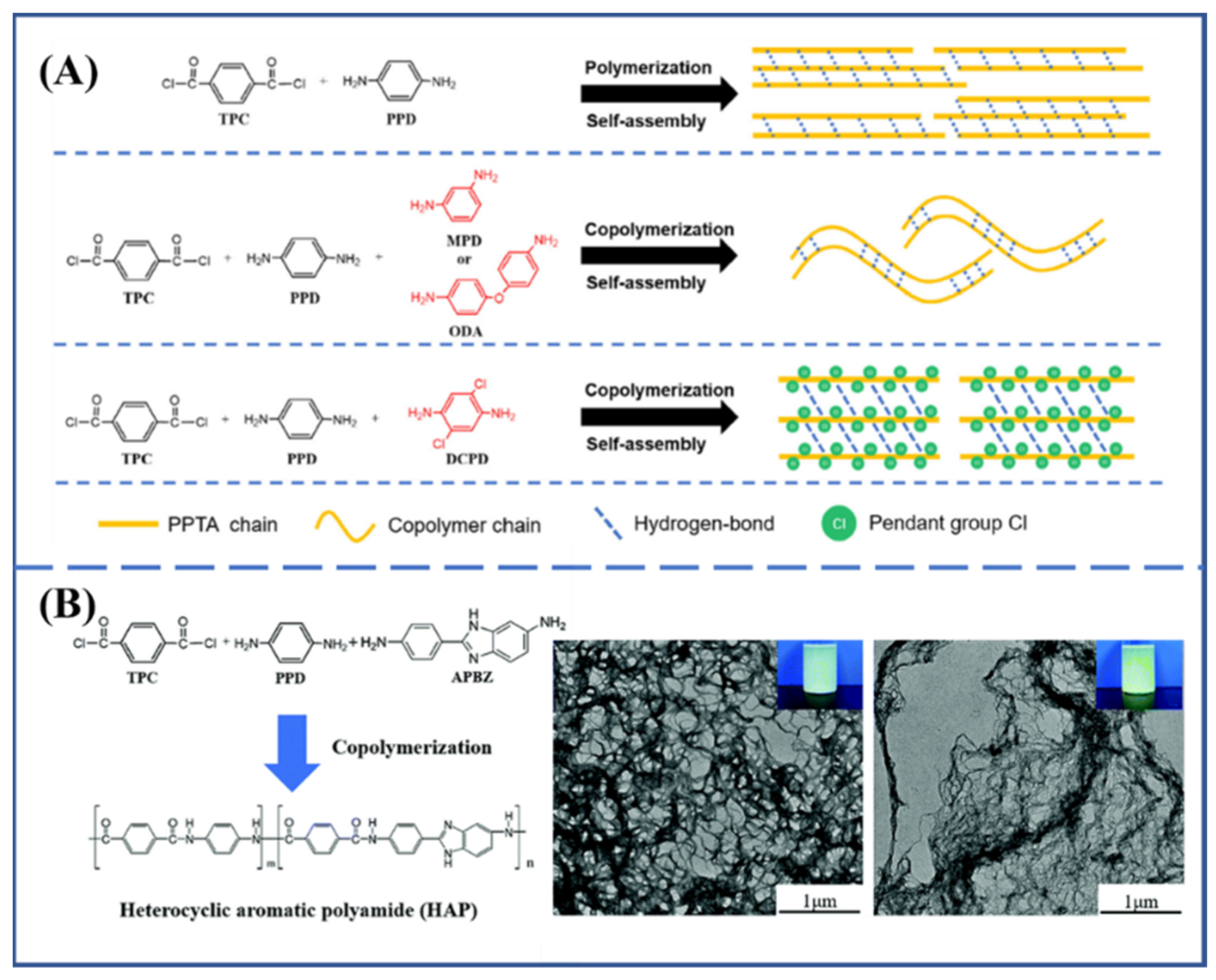 Molecules 27 04413 g007