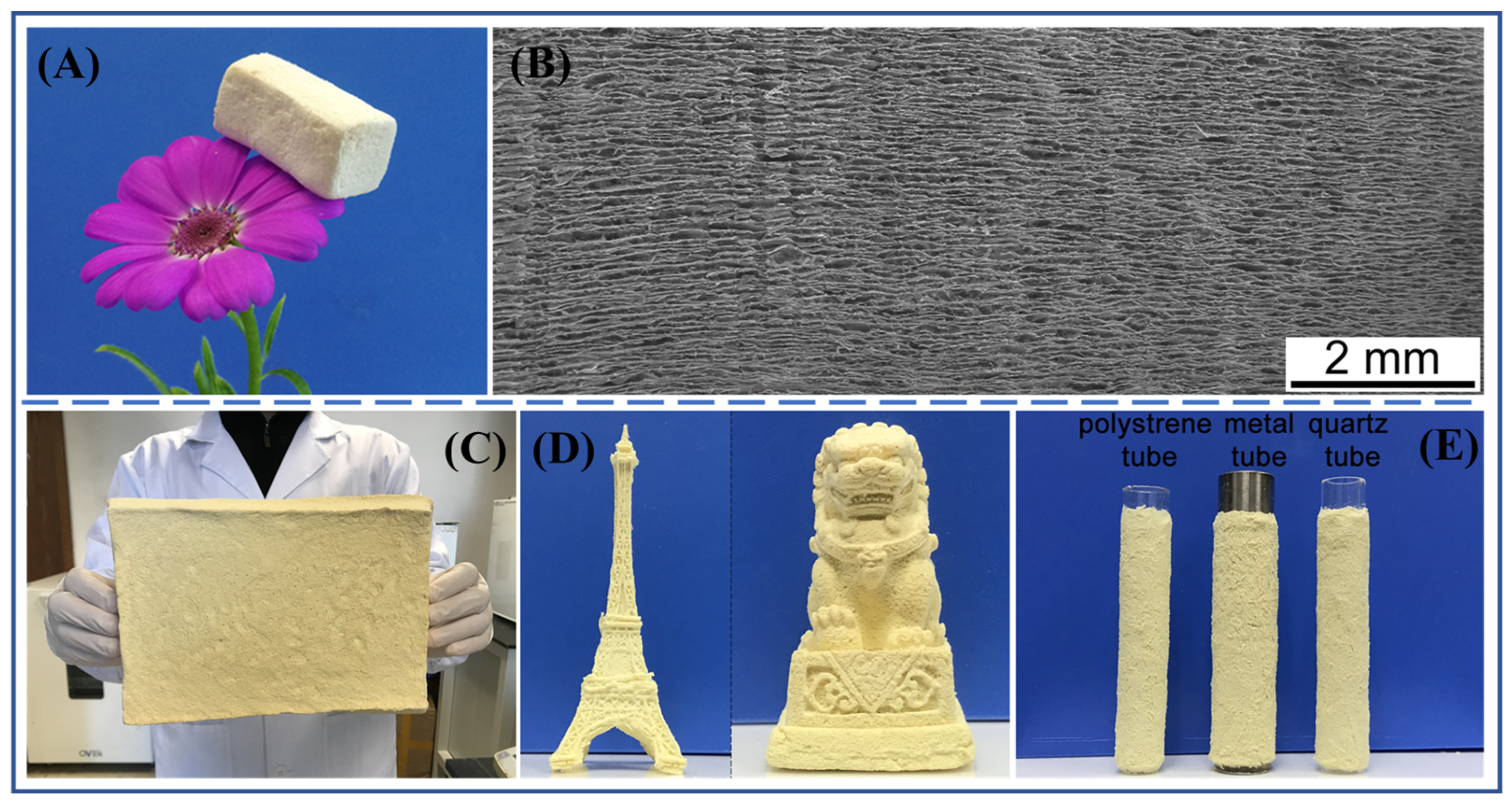 Molecules 27 04413 g011
