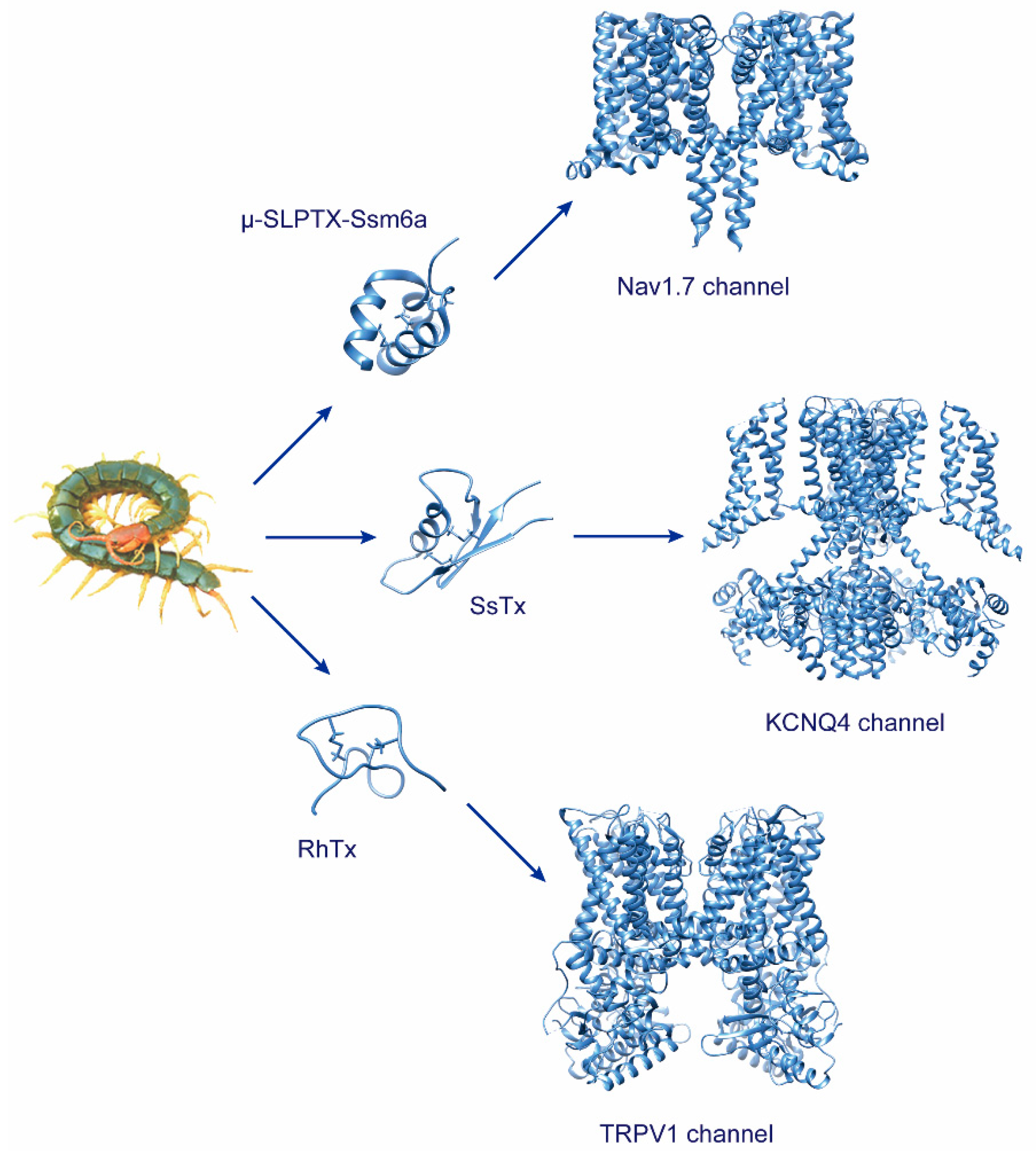 Molecules 27 04423 g001 Molecules 27 04423 g001