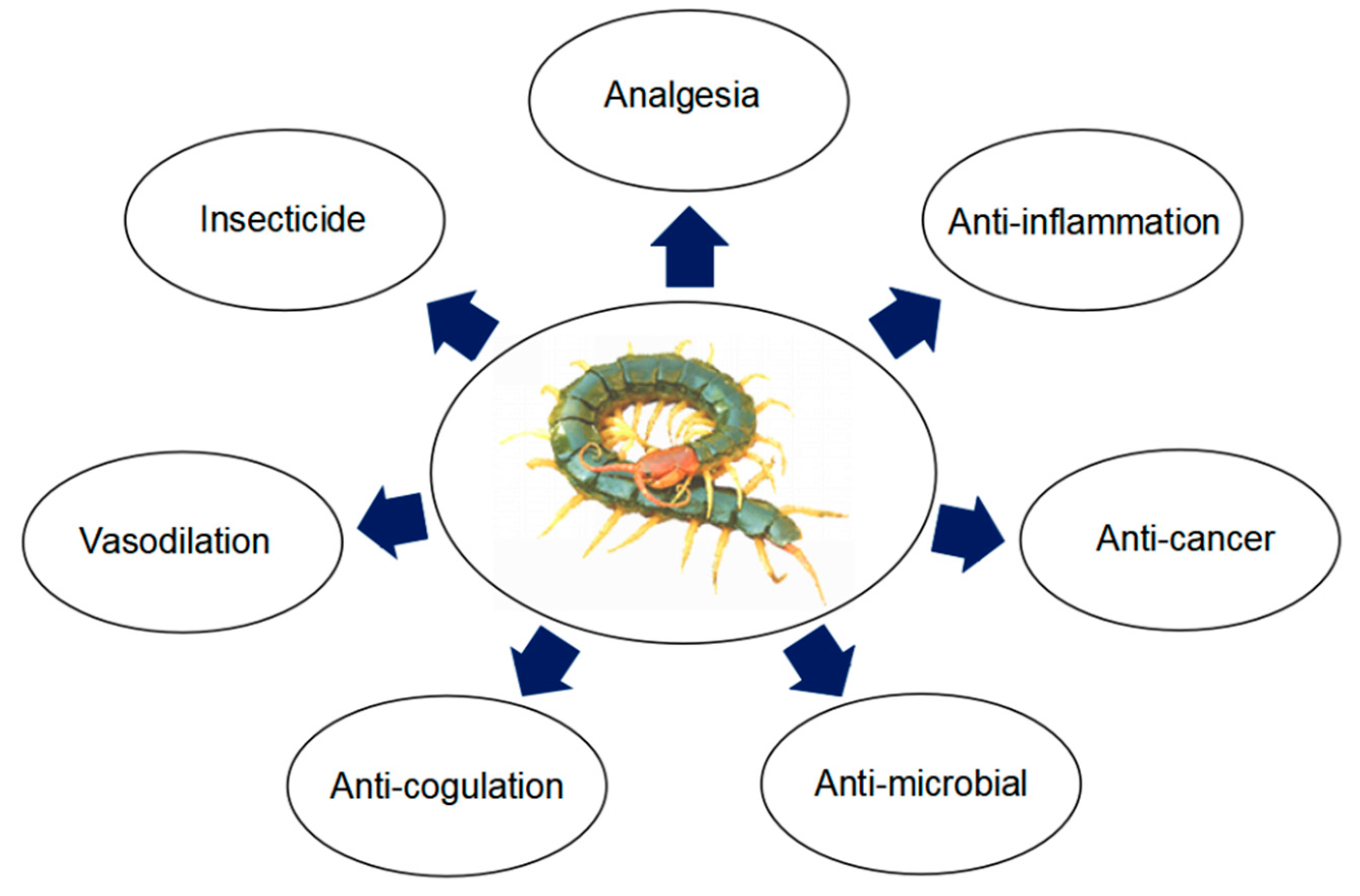 Molecules 27 04423 g002 Molecules 27 04423 g002