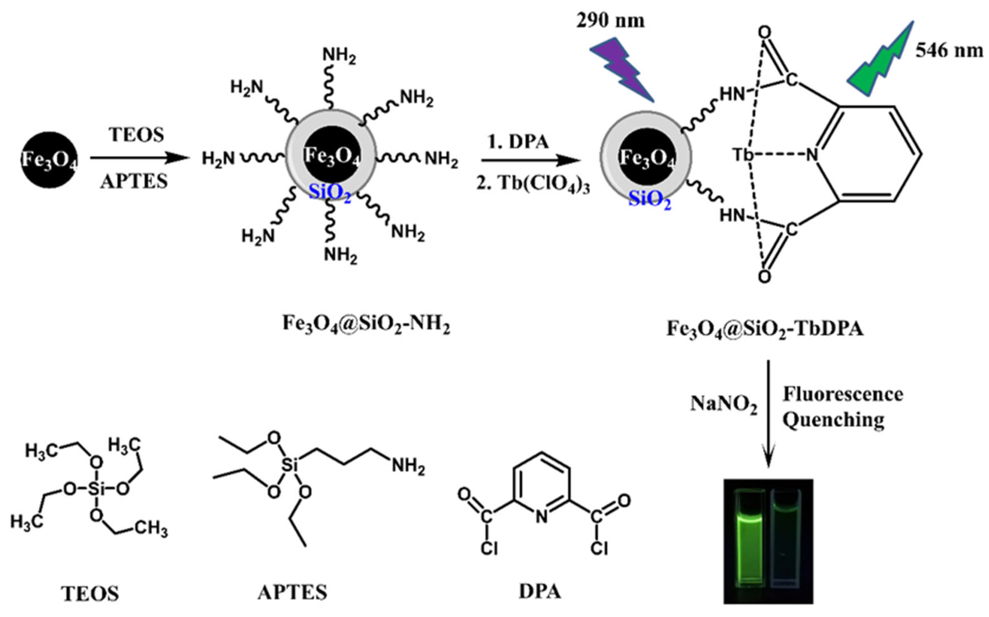 Molecules 27 04431 g001 Molecules 27 04431 g001