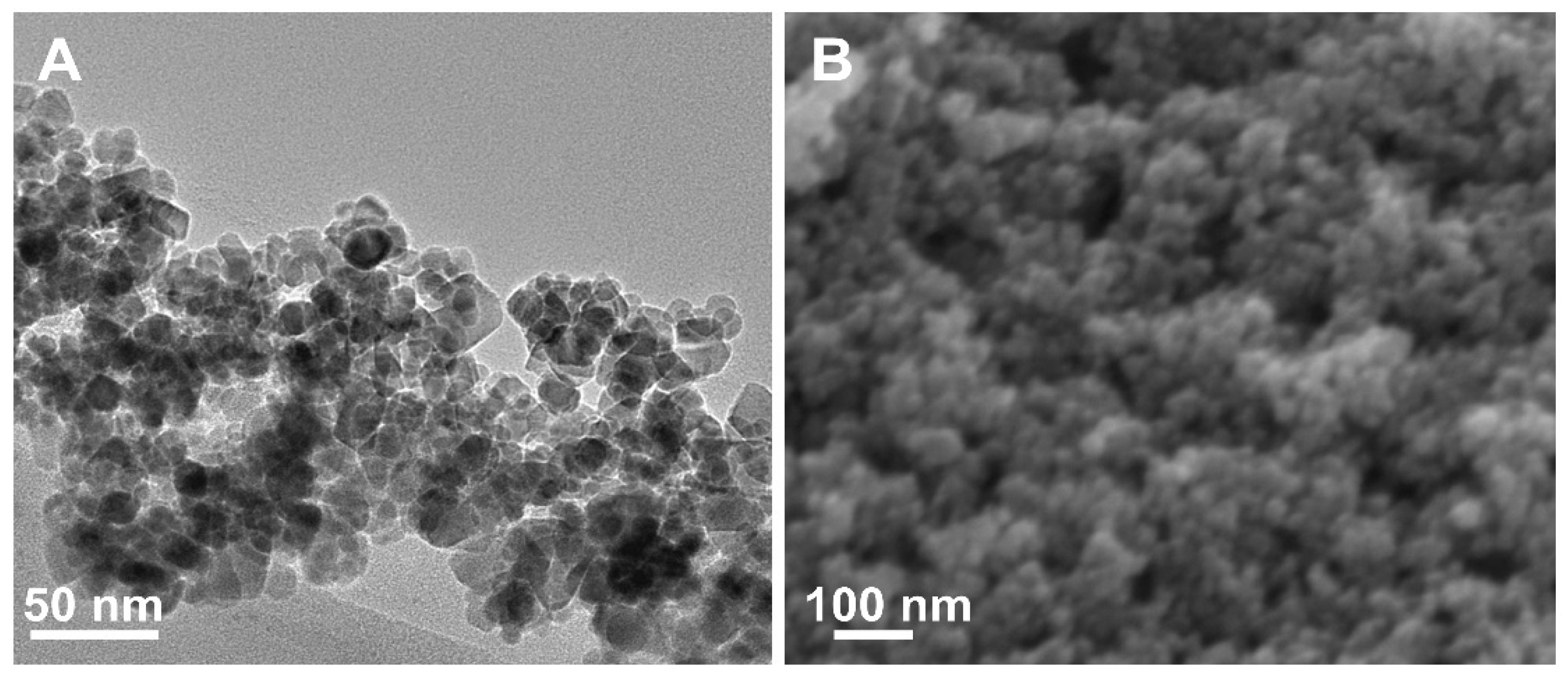 Molecules 27 04431 g003 Molecules 27 04431 g003