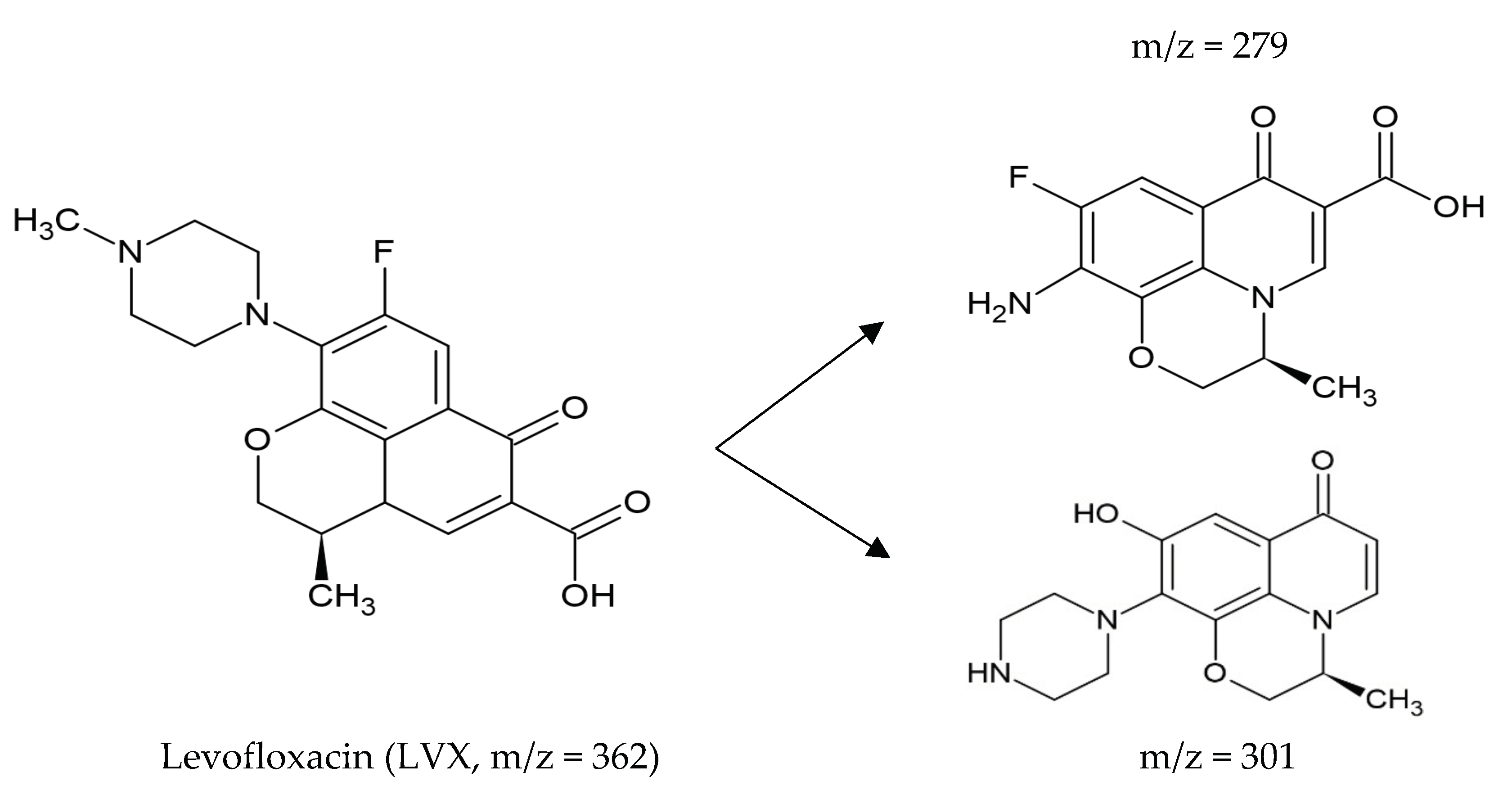 Molecules 27 04436 g003