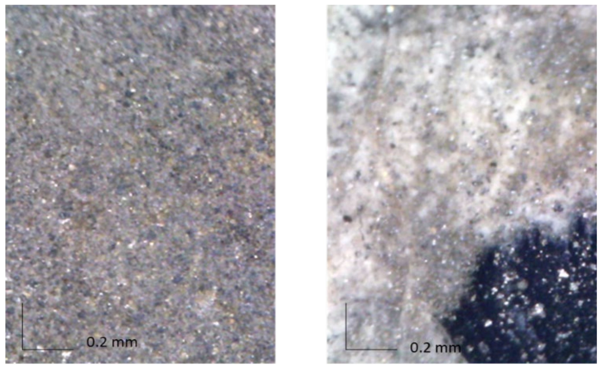 Molecules 27 04442 g003