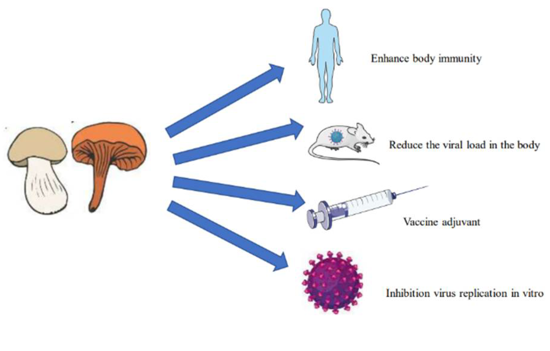 Molecules 27 04457 g001