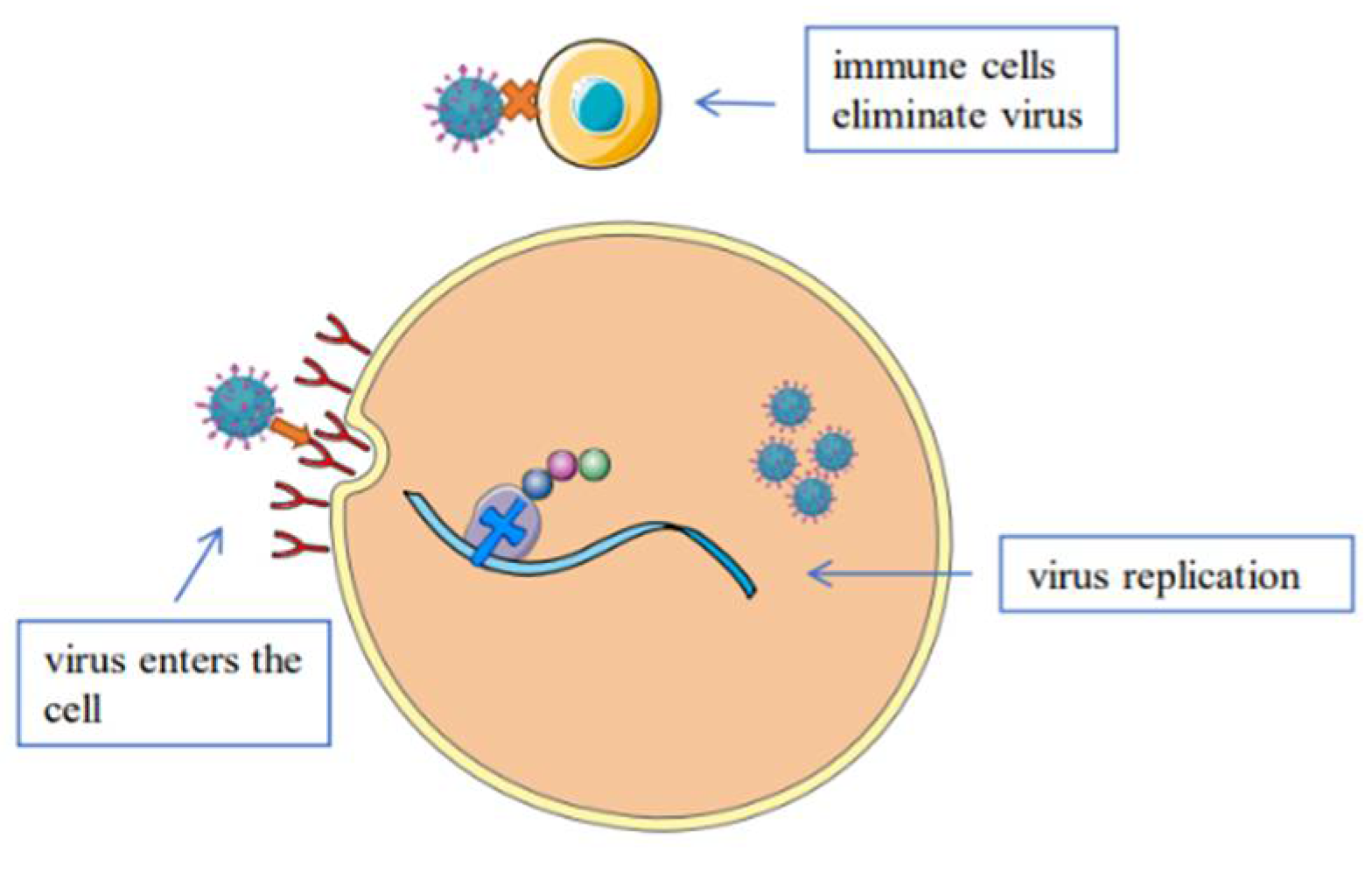Molecules 27 04457 g002