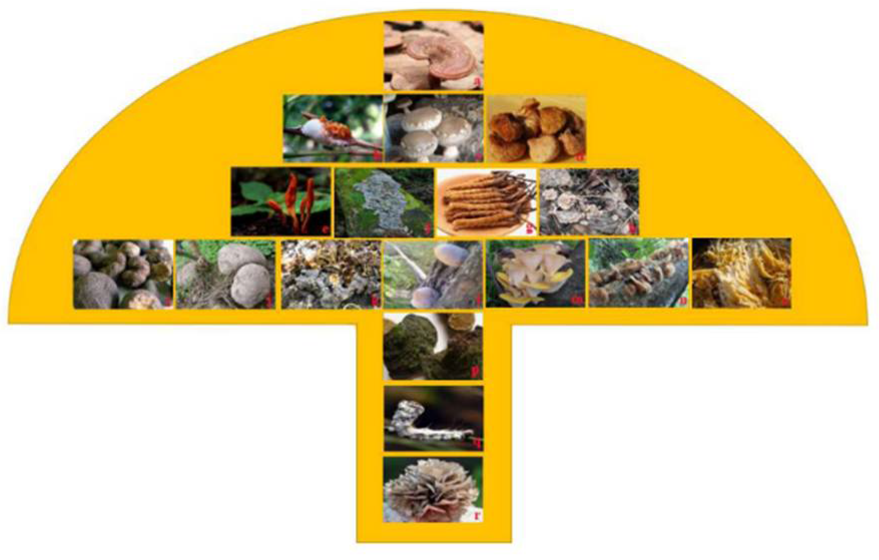 Molecules 27 04457 g003