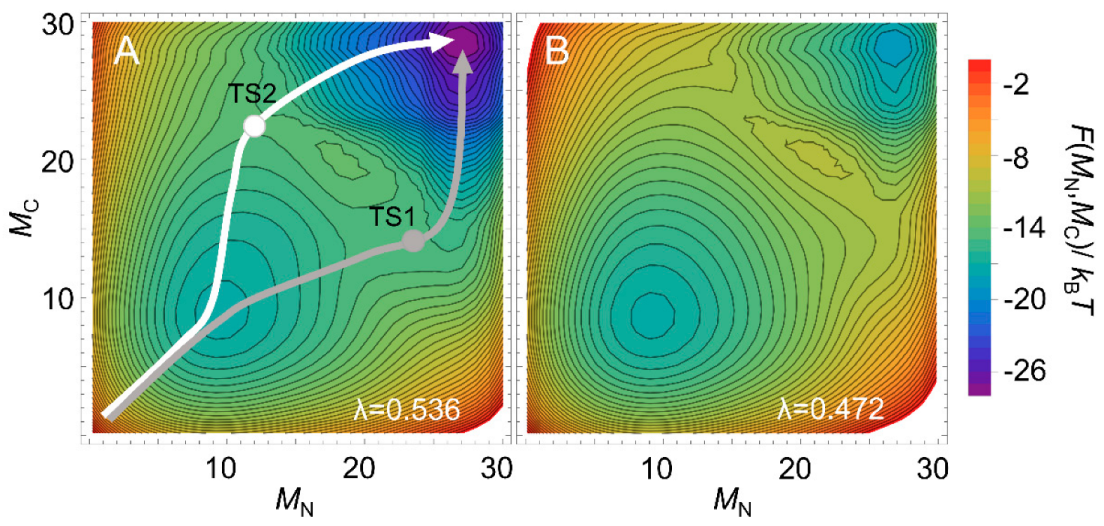 Molecules 27 04460 g005