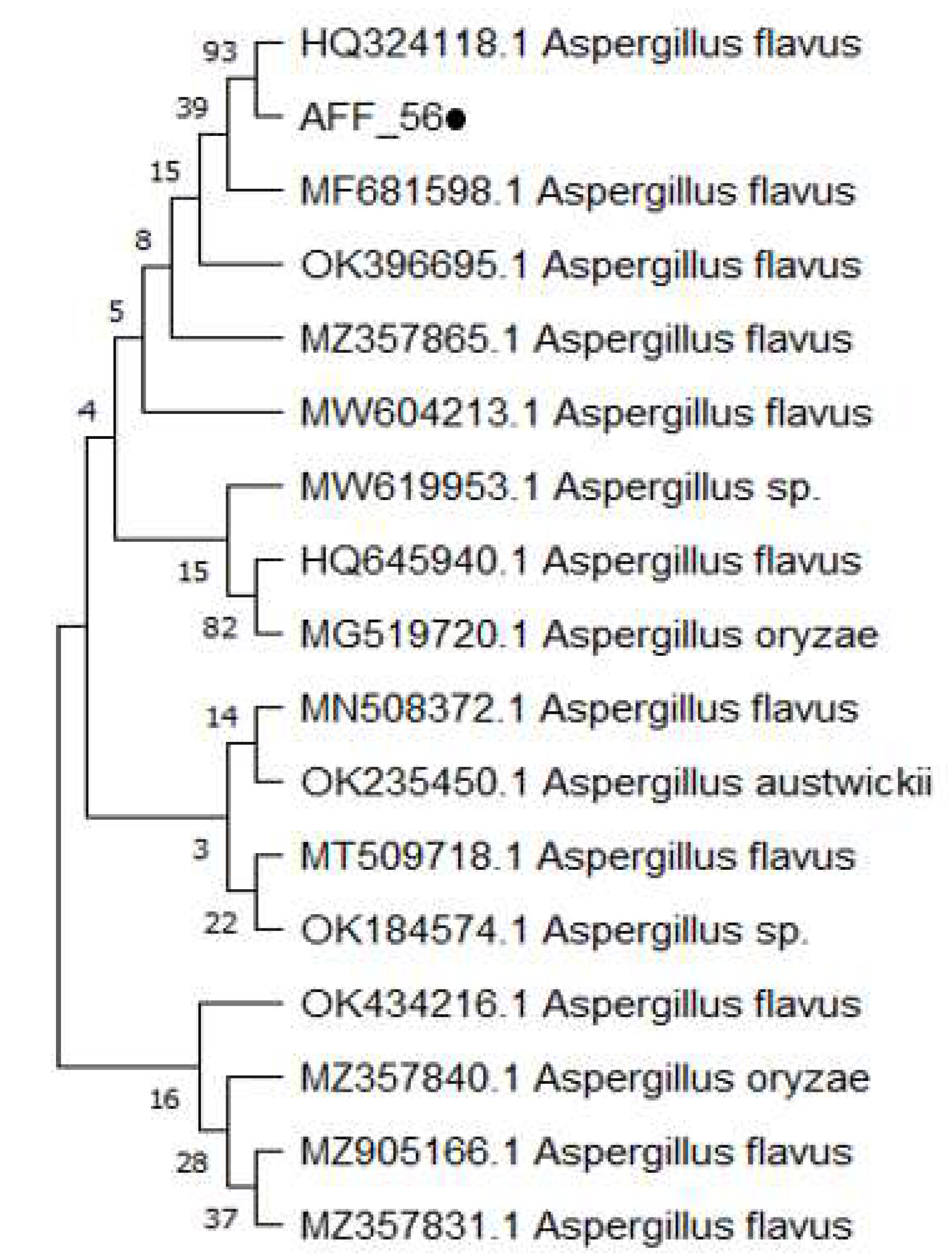 Molecules 27 04461 g002