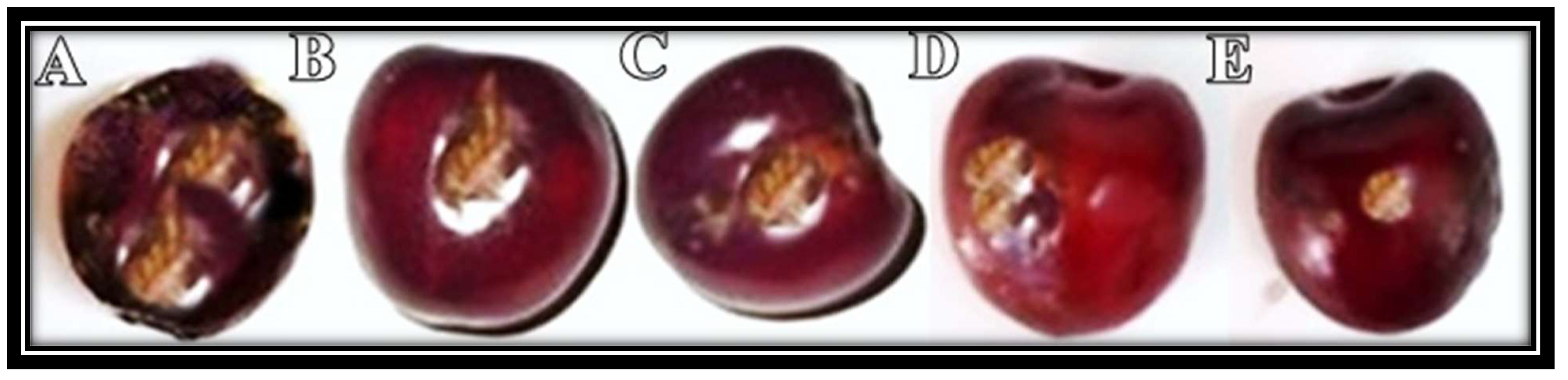 Molecules 27 04461 g007