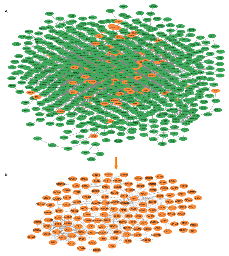 Molecules 27 04463 g004