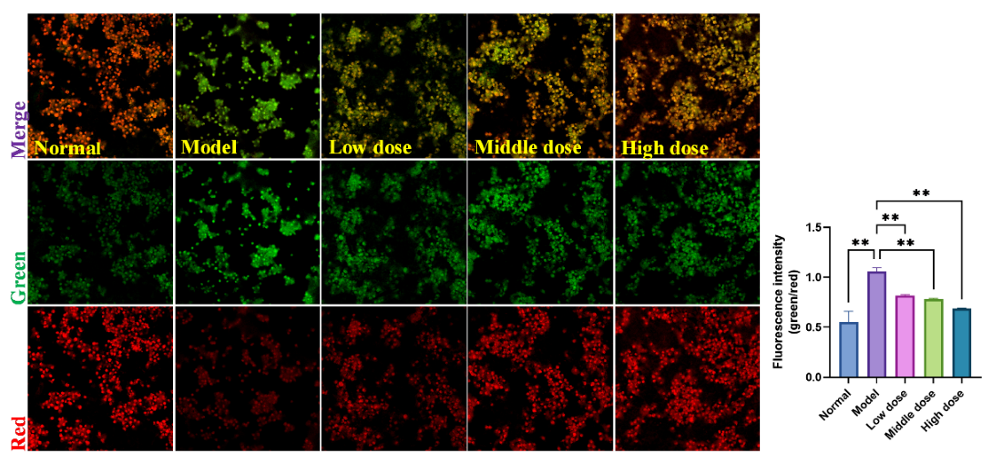 Molecules 27 04463 g010