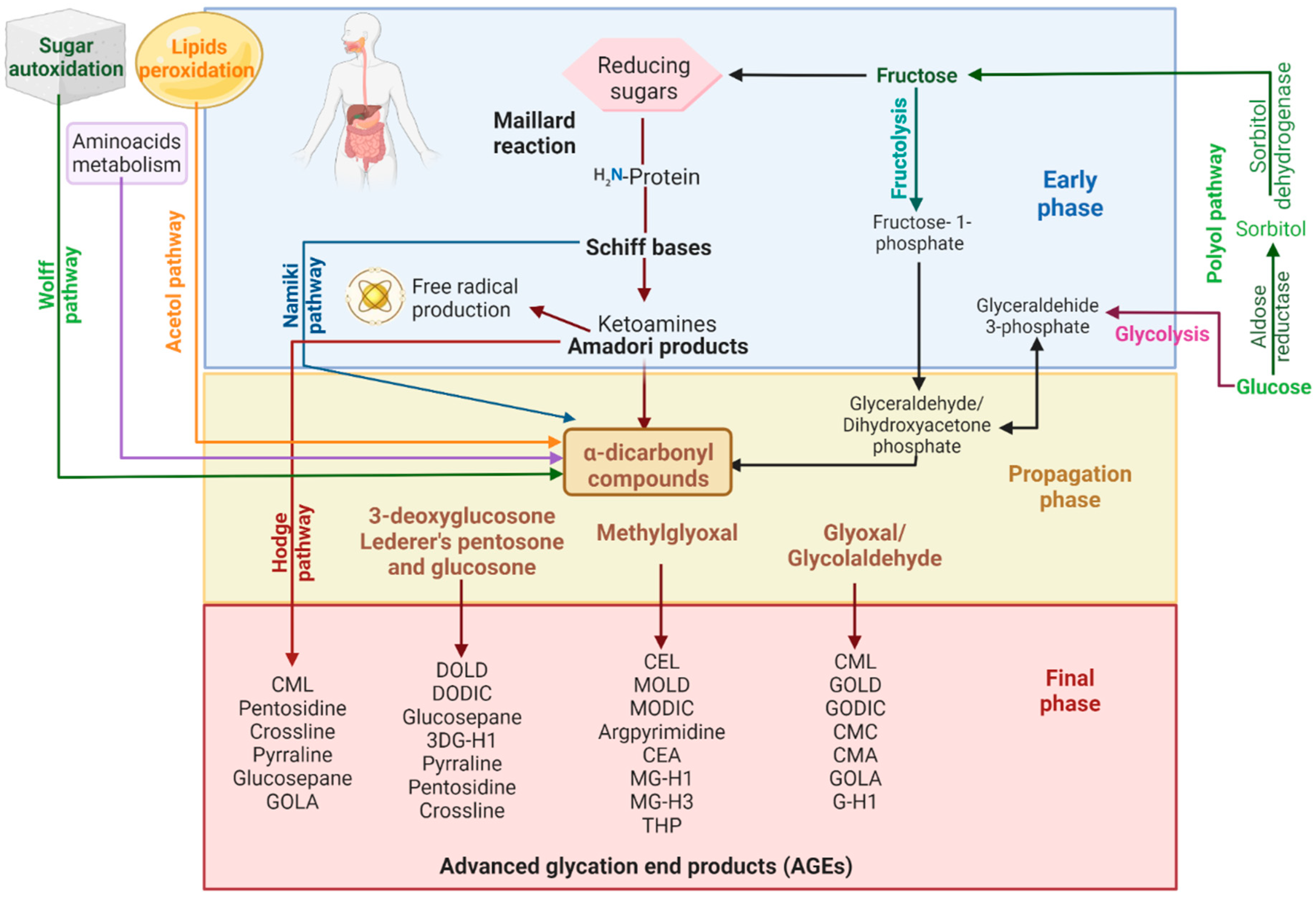 Molecules 27 04469 g001